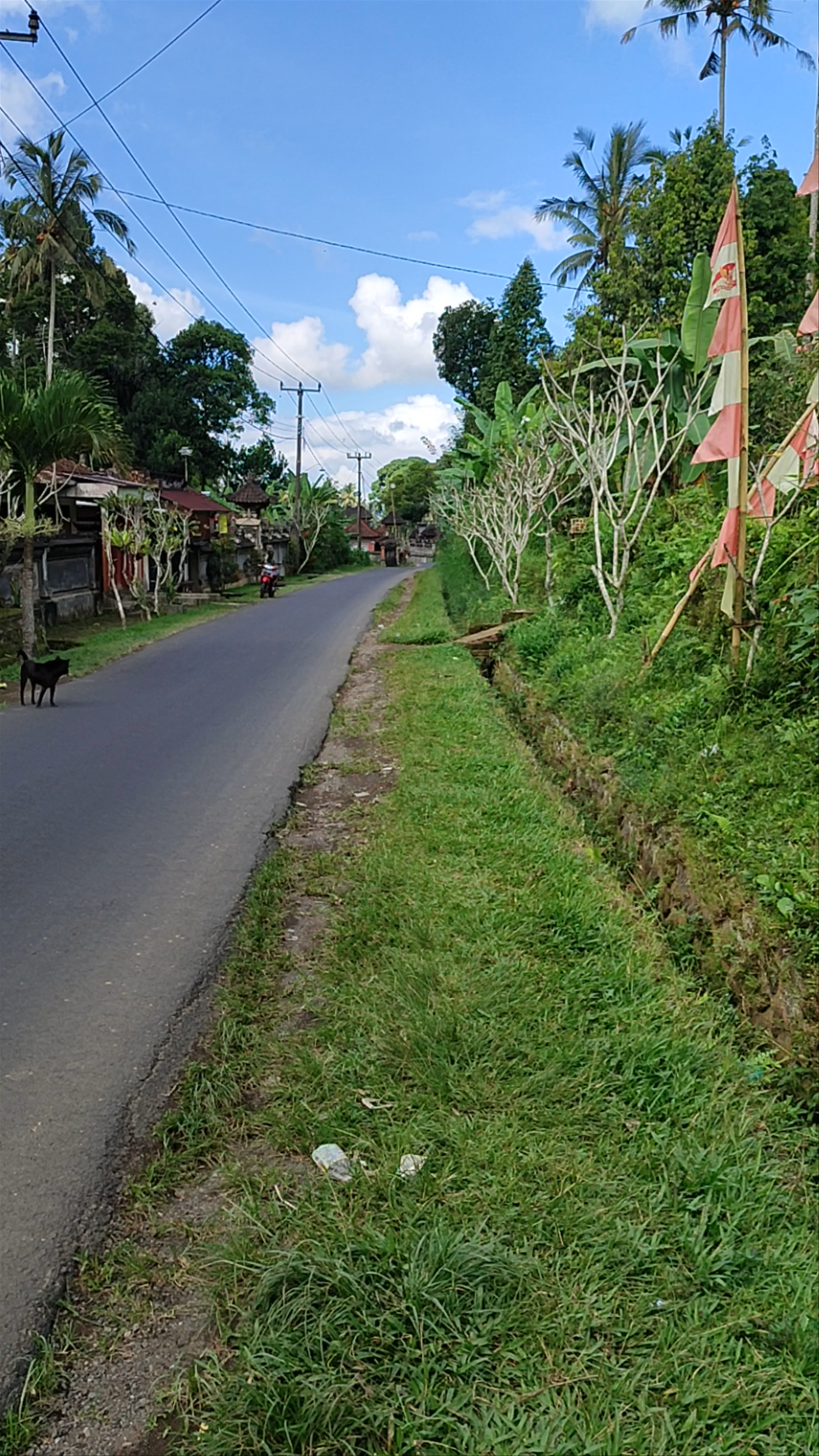 Tukad Barong