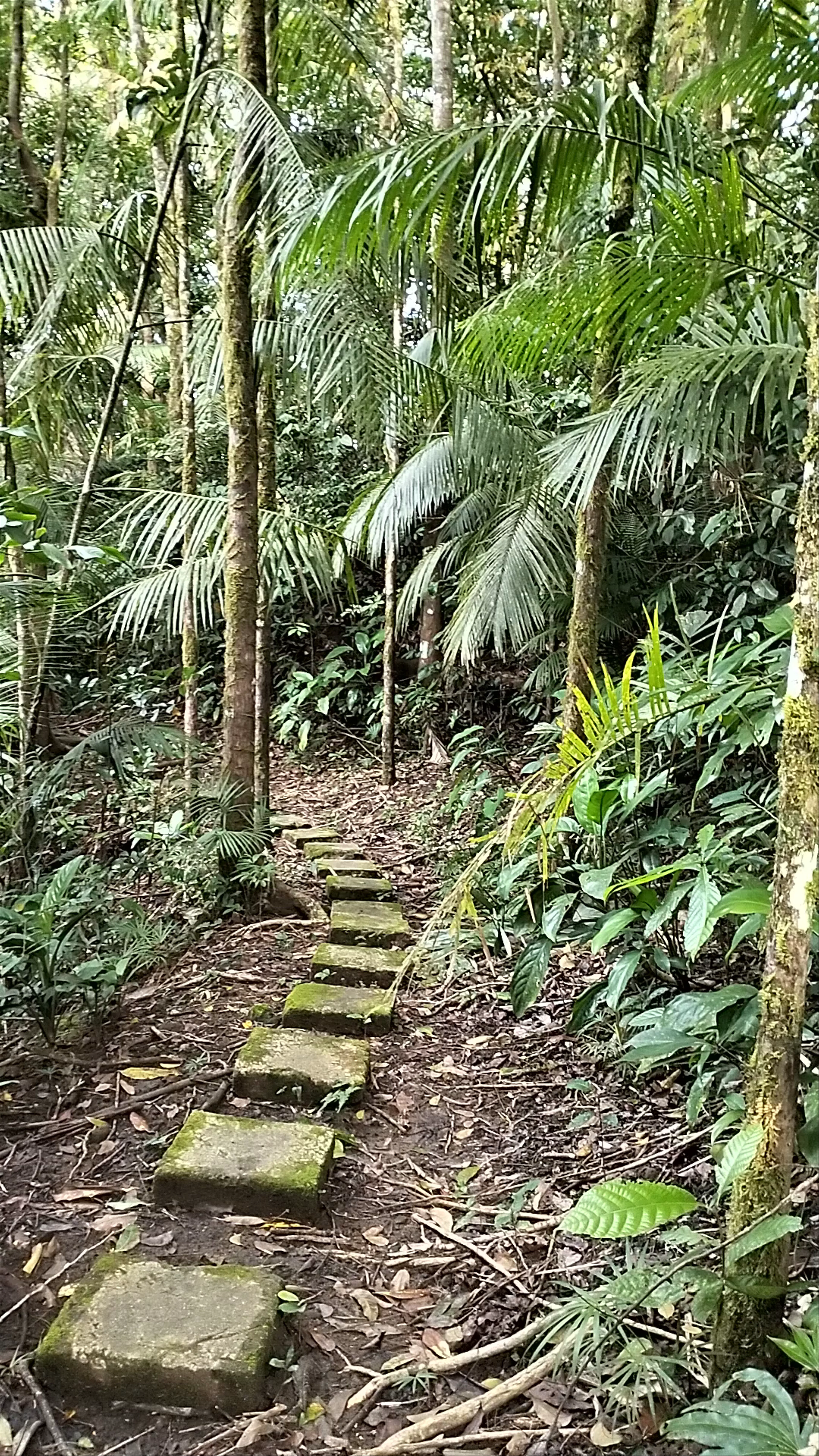 Mount Bandilaan