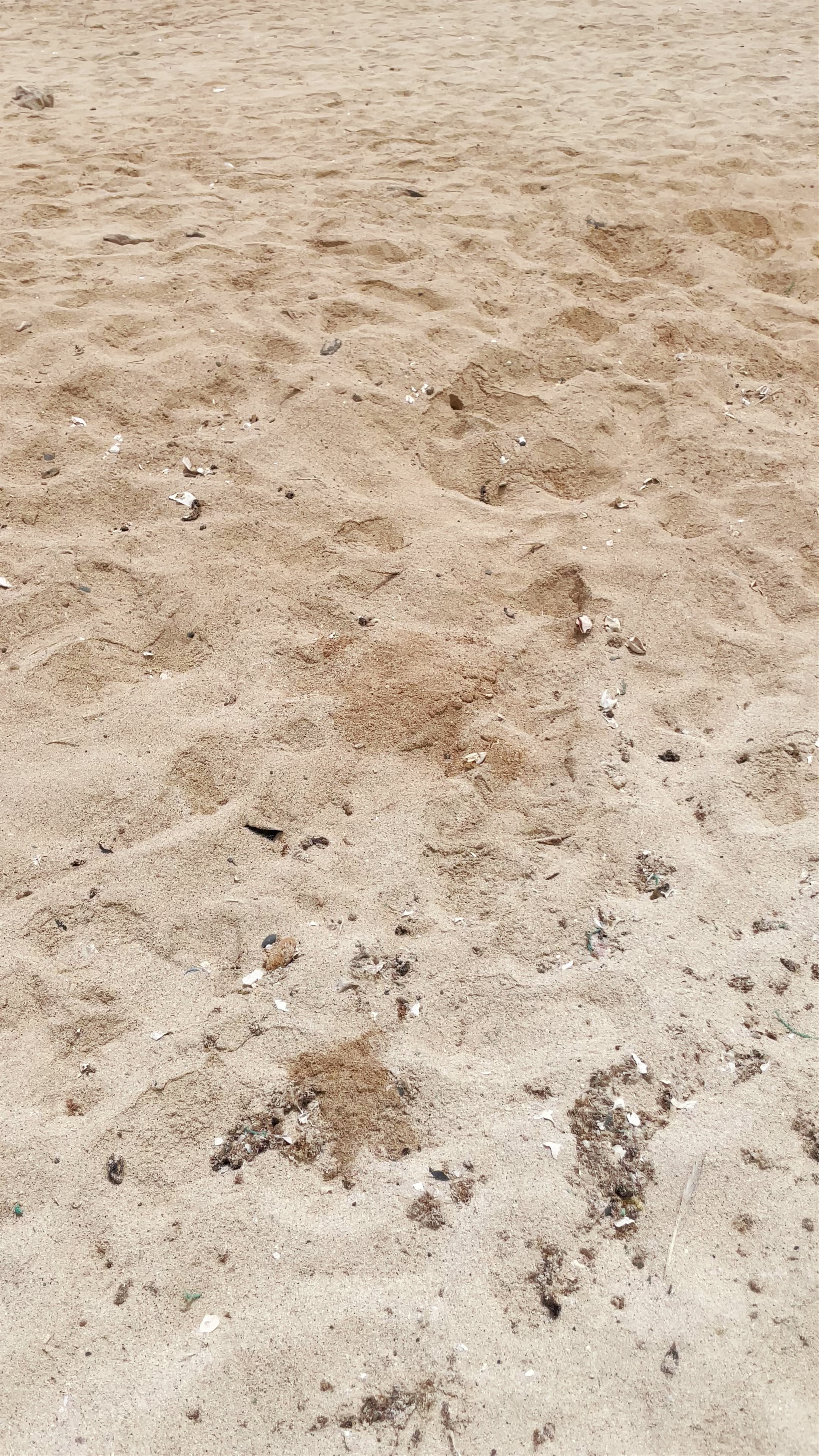 Kite Beach - Sal Cape Verde