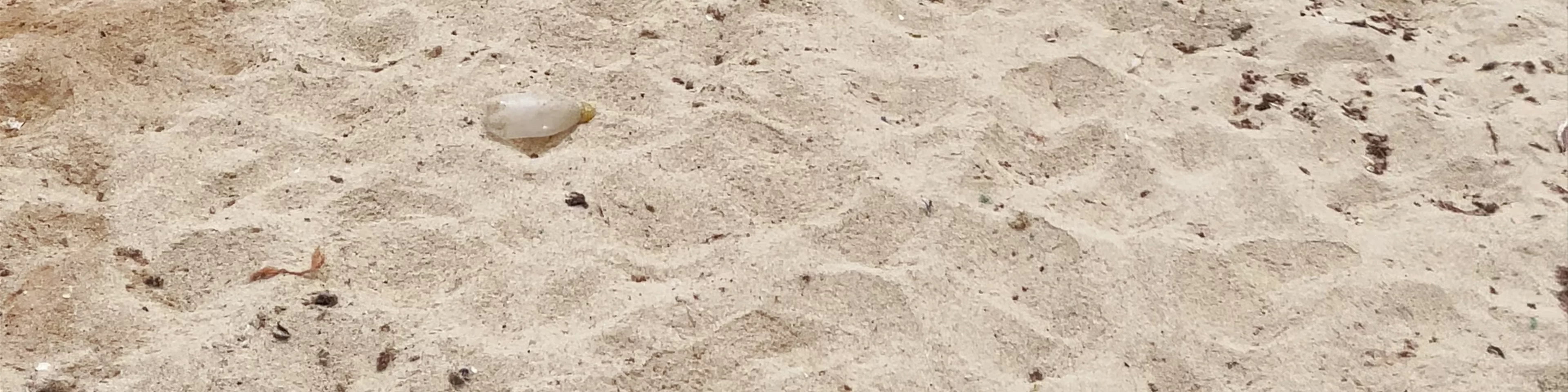 Kite Beach - Sal Cape Verde