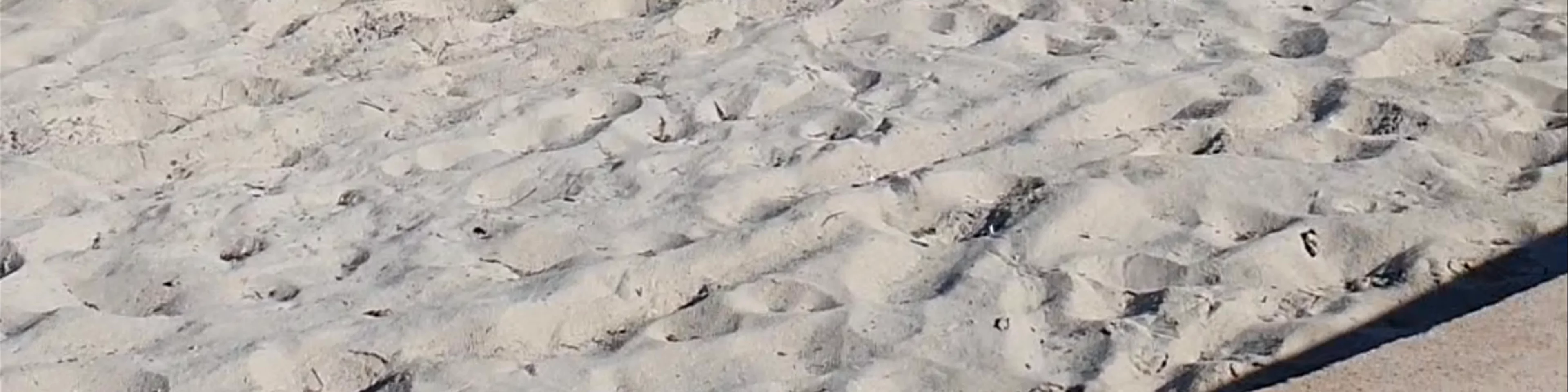 Playa Puerto Progreso