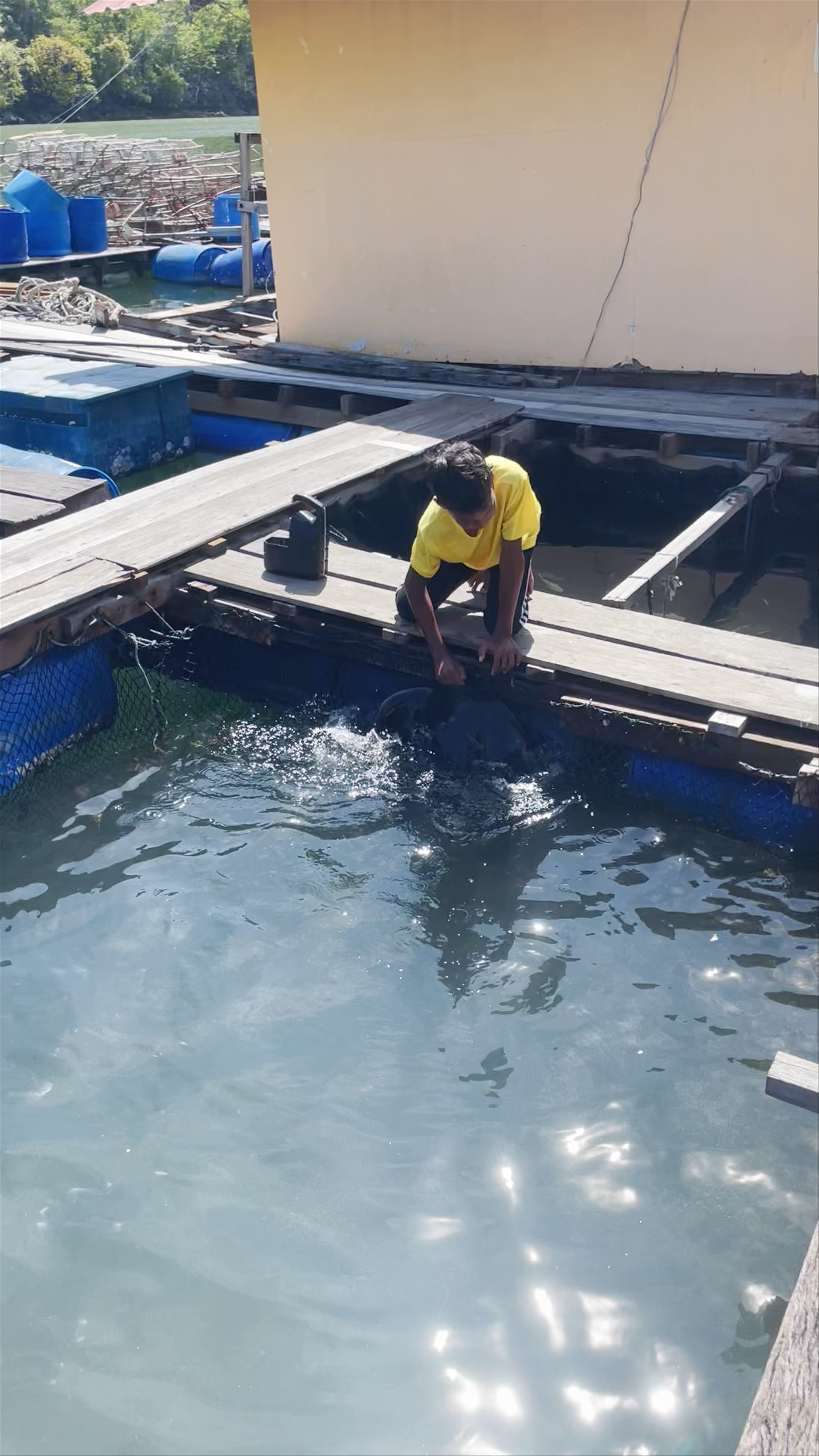 SAS Rimba Floating Fish Farm