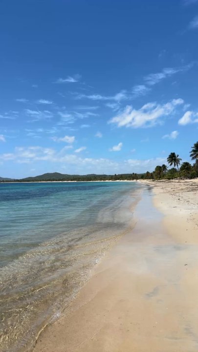 Sun Bay Beach - Beaches Near Me - Vieques, Puerto Rico