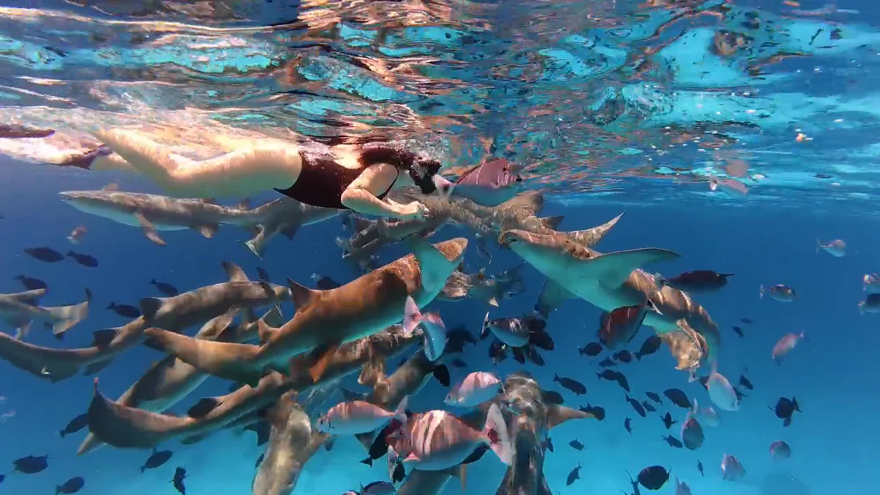Video 11 · Martina · Maldivas Beach Life: relax, deportes acuáticos y baño con delfines