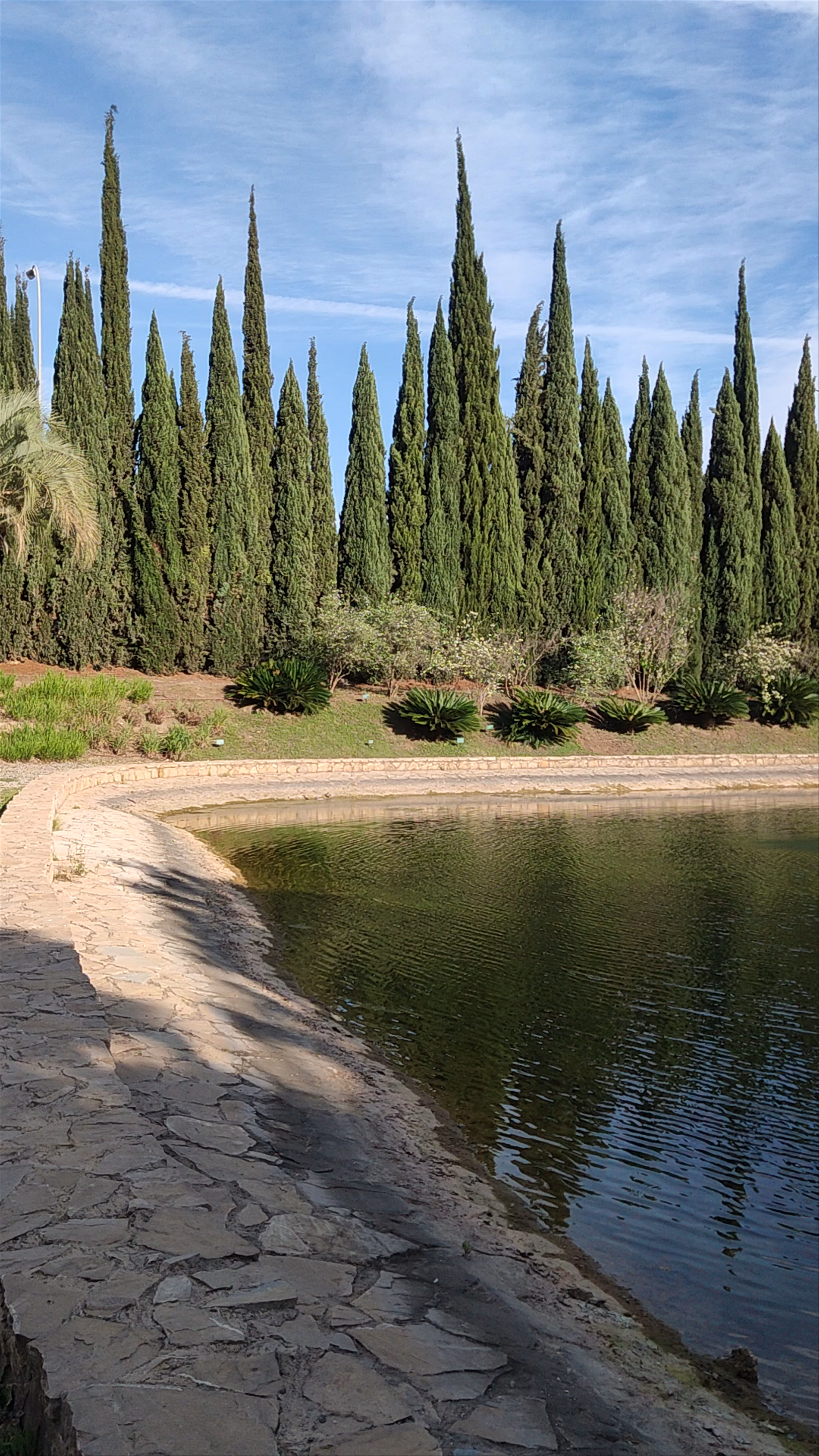 Jardín Botánico Histórico La Concepción: Málaga’s Lush Botanical Escape