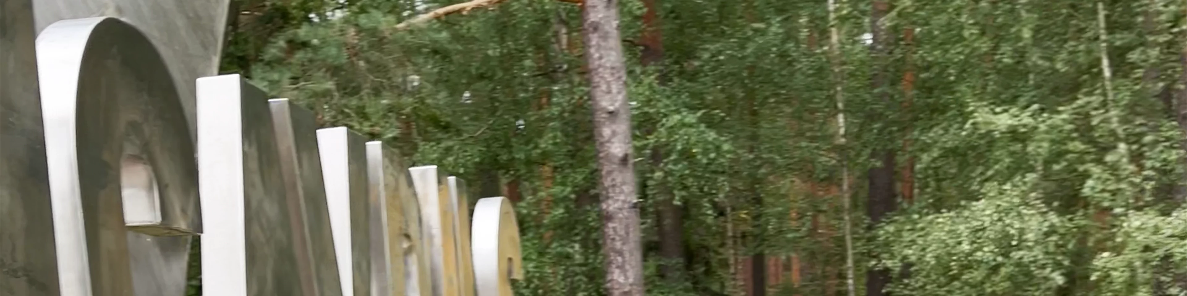 Daugavpils Simbols - kaija