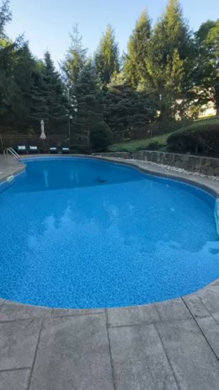 Listing photo-2