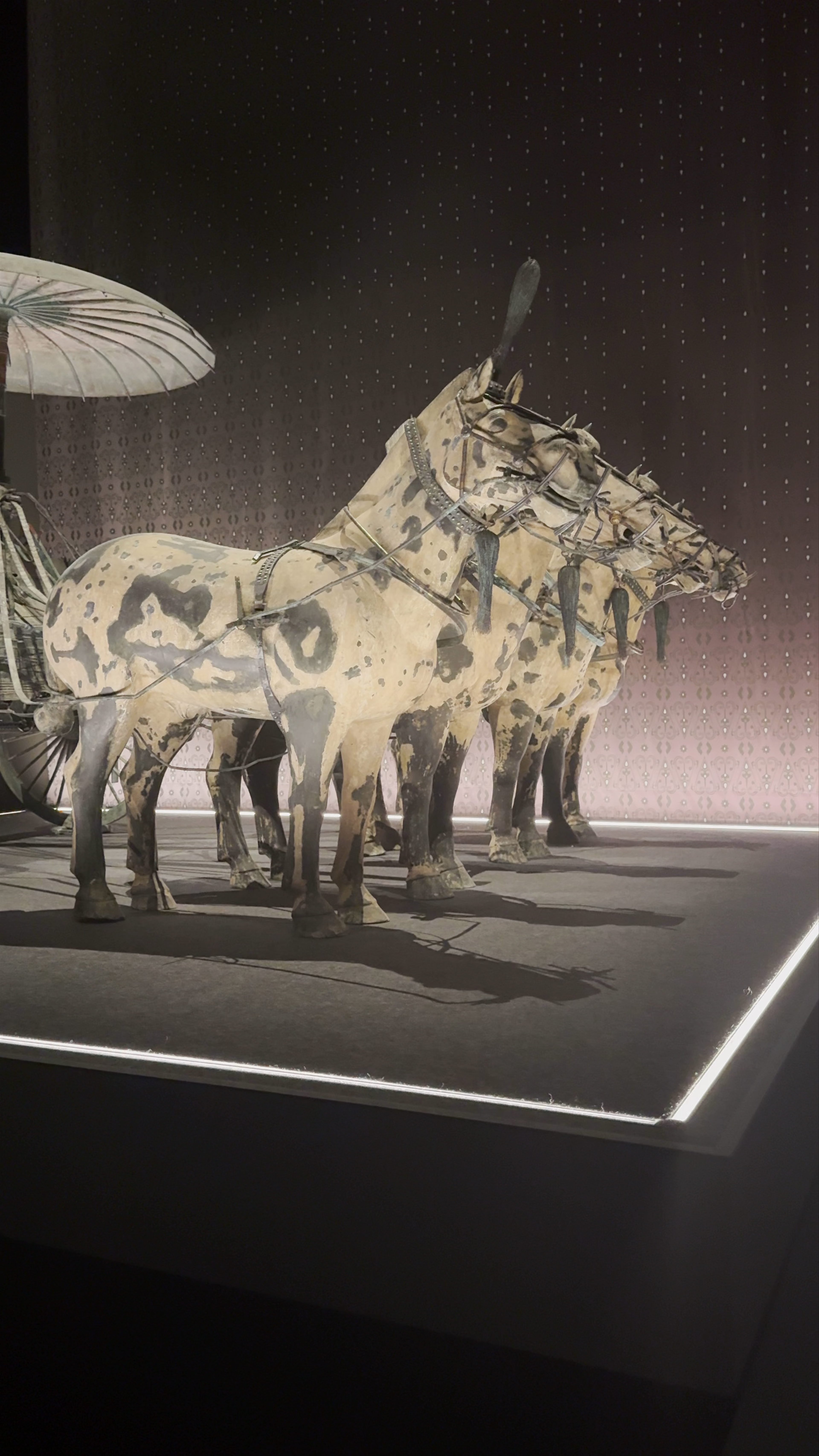 WA Museum Boola Bardip