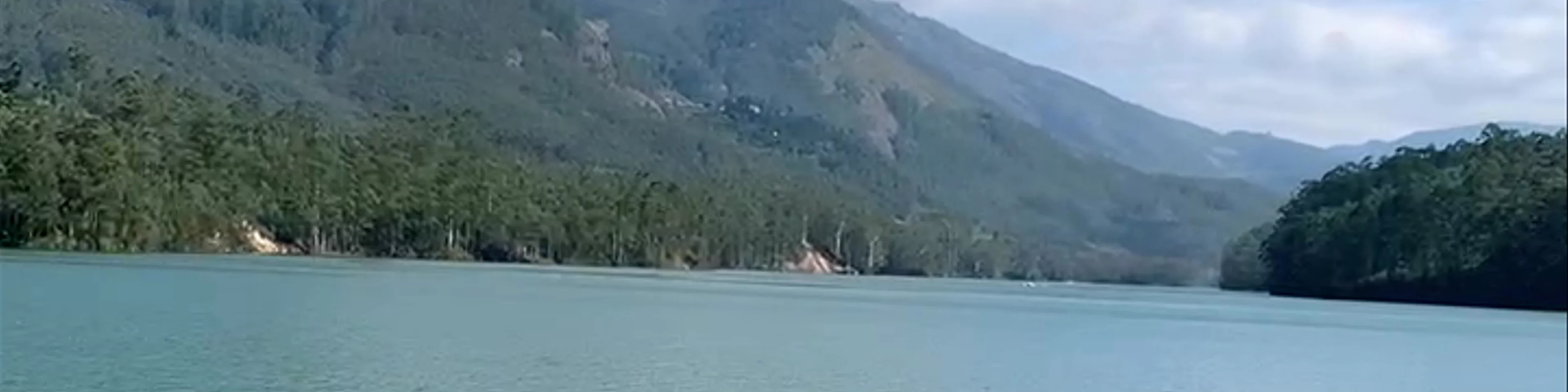 Mattupetty Dam
