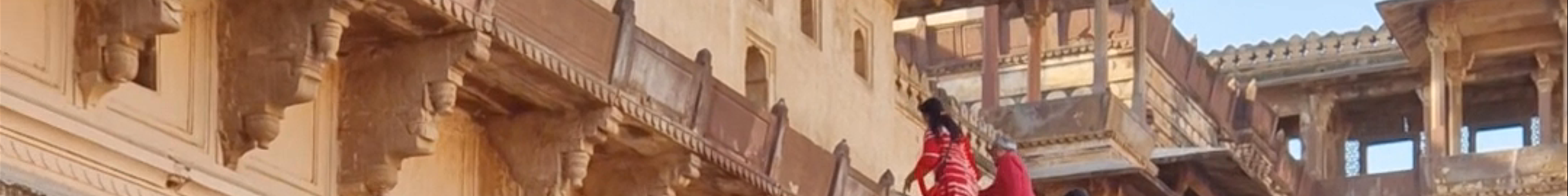 Tours & experiences in Orchha