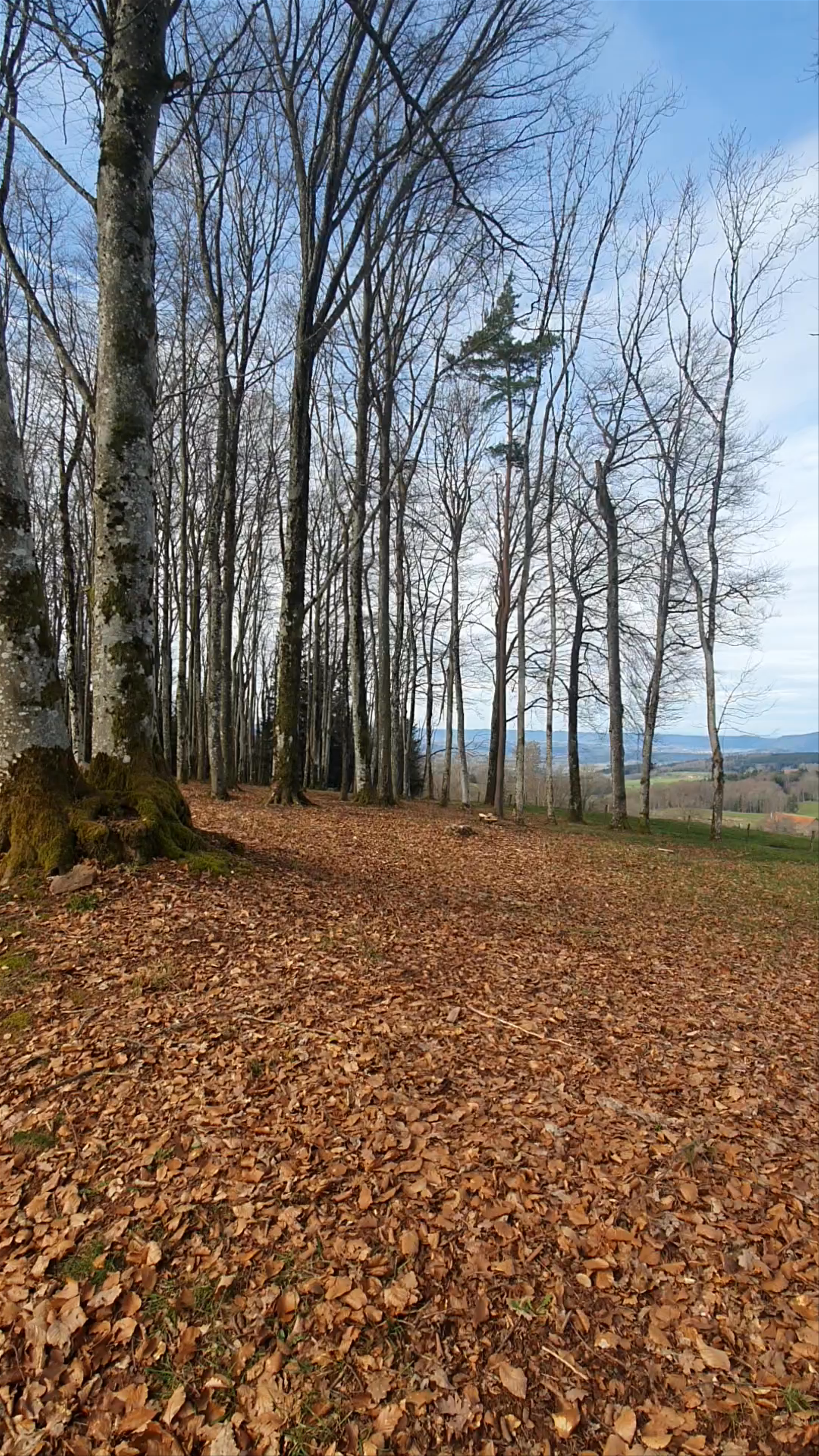 Nécropole nationale la Fontenelle