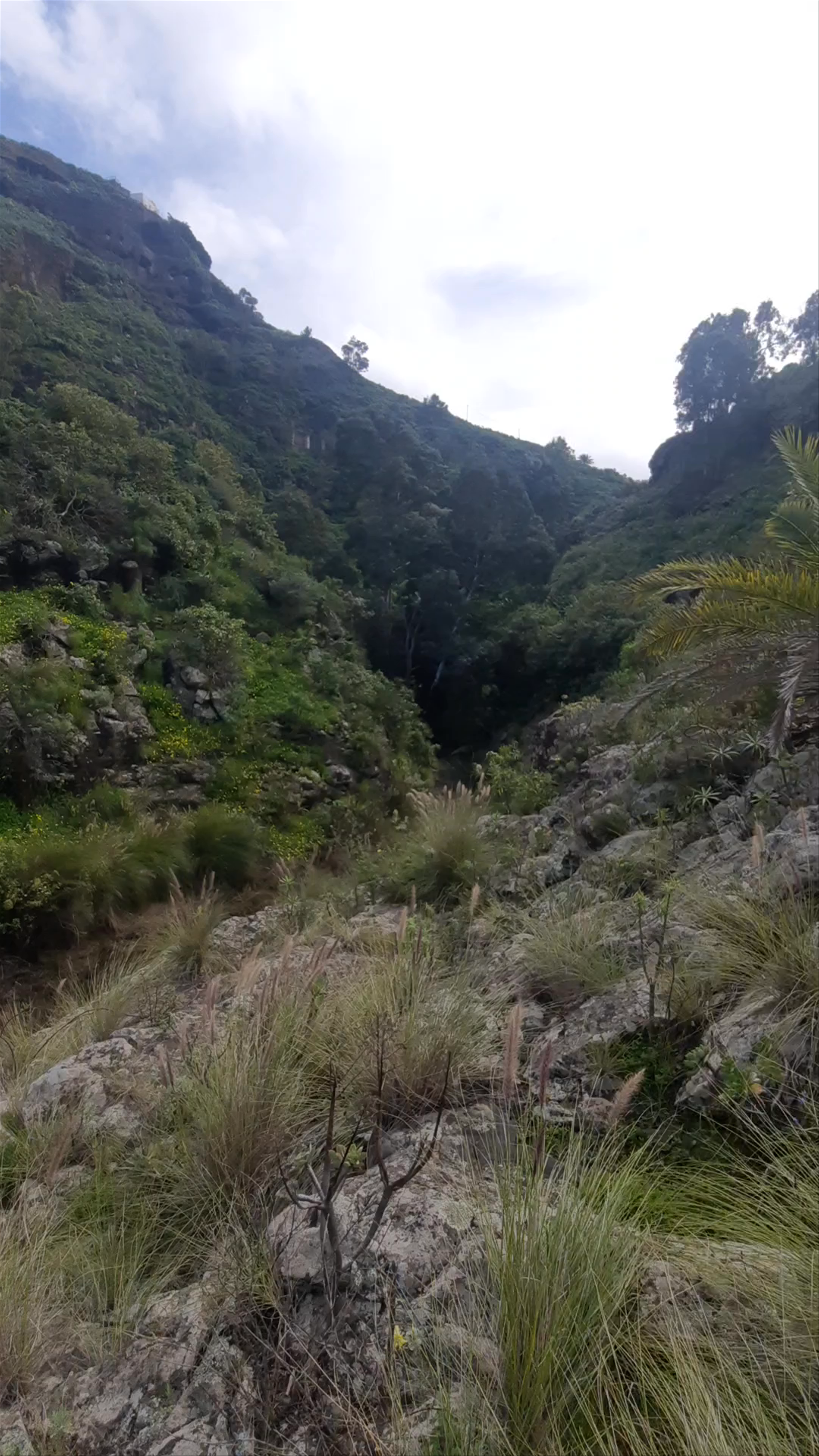 Barranco de Tenoya