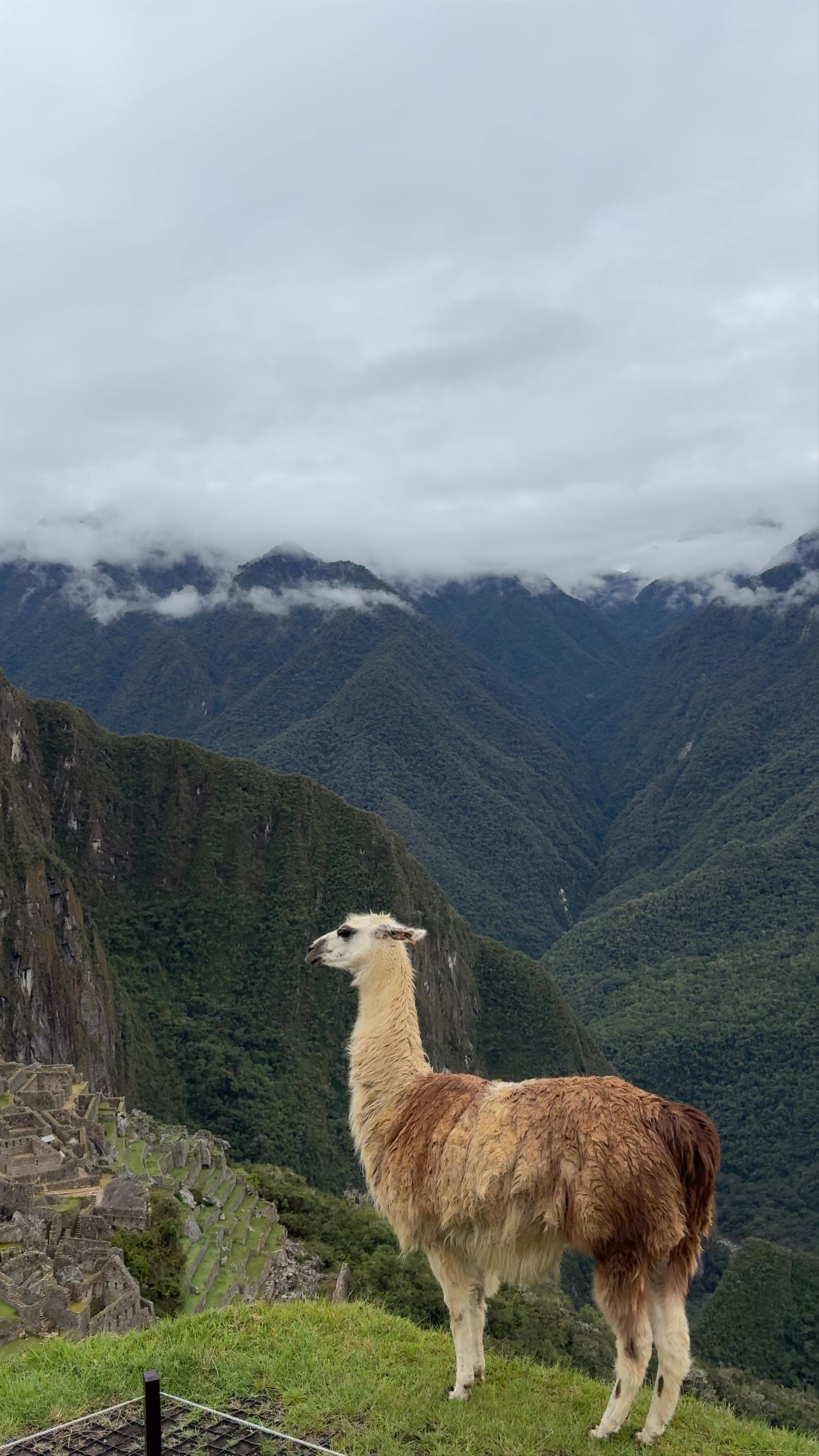 Casa del Guardián de la Roca Funeraria a Machu Picchu