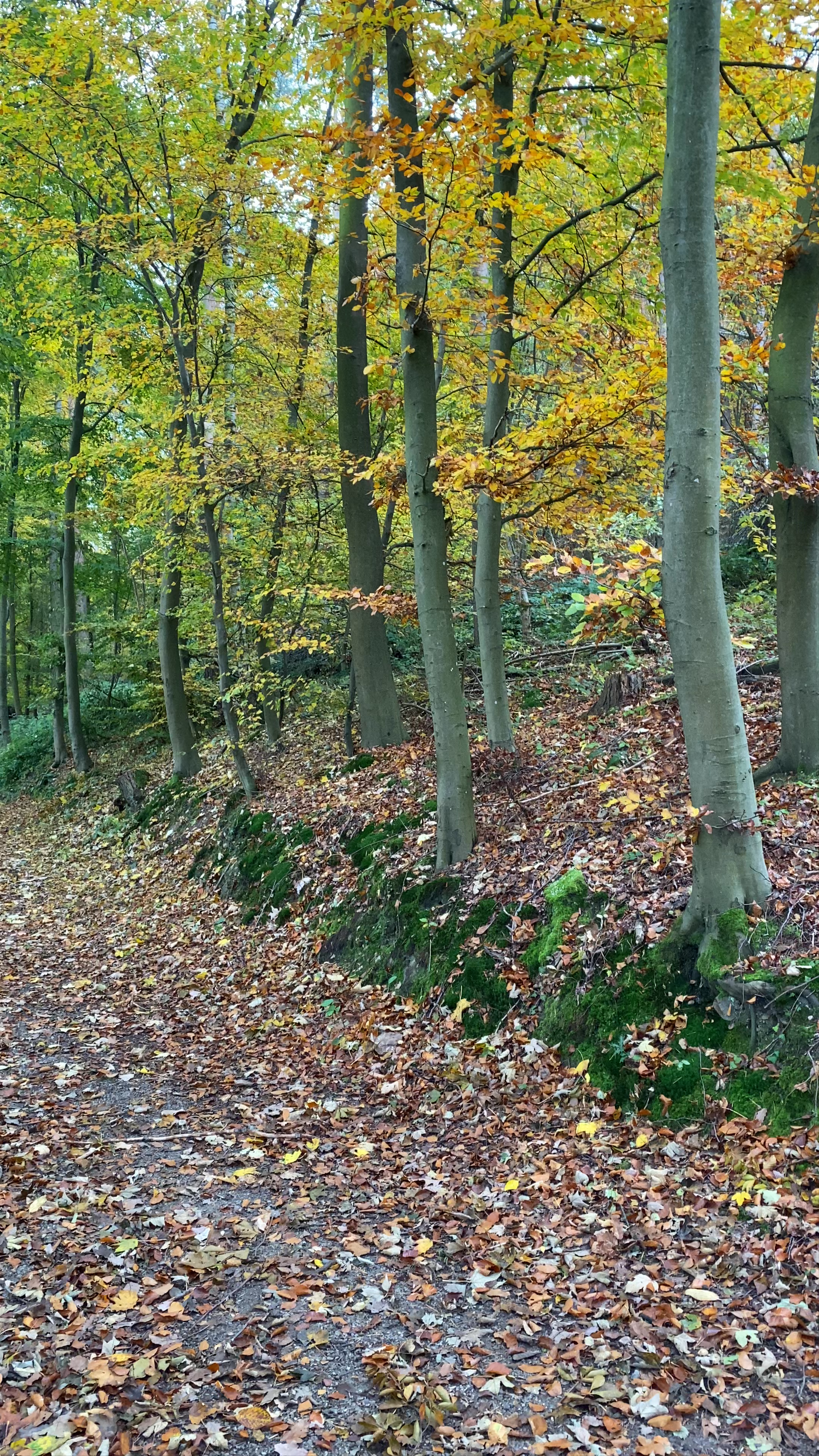 Hill 400 WWII Bunker