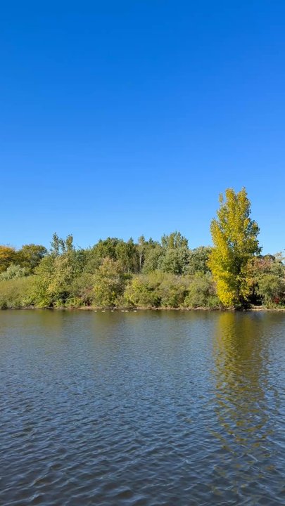 Charles Riverboat - Boat Charters Near Me - Cambridge, Massachusetts