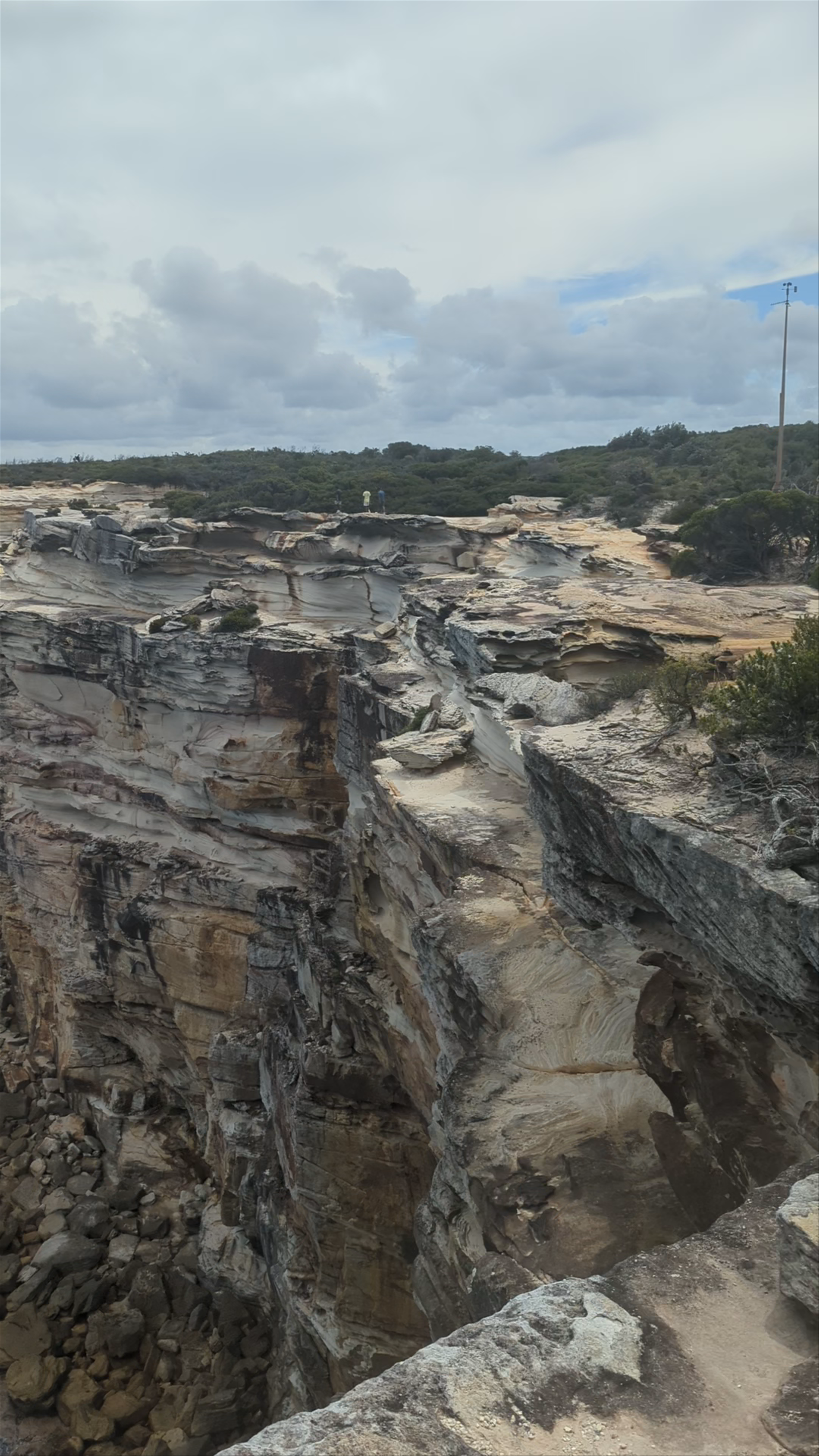 Royal national park coastal walk