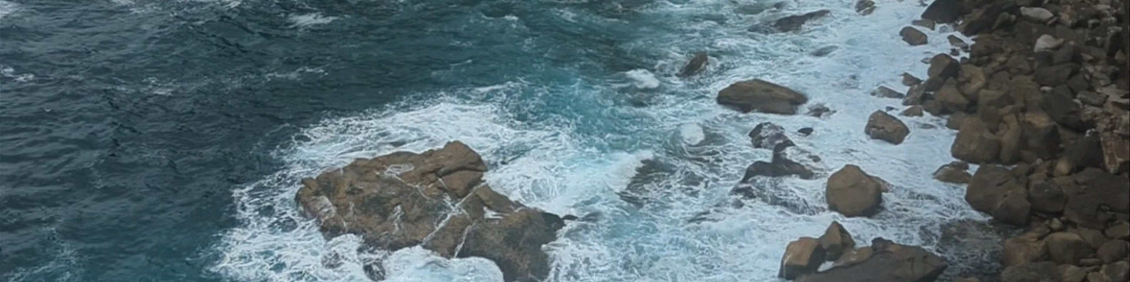 Royal national park coastal walk