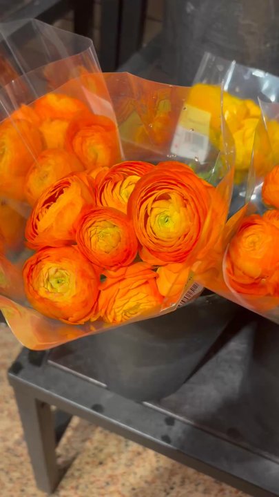 Wegmans - Grocery Near Me - Woodbridge, Virginia