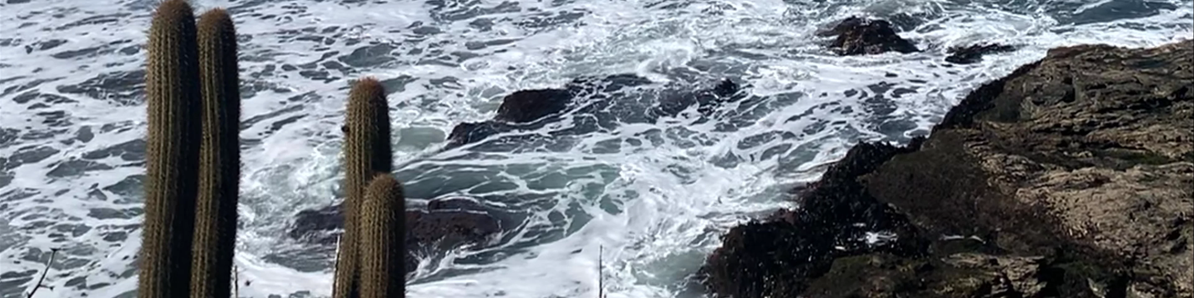 Punta de Lobos