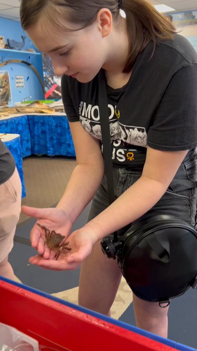 Explore the Ocean World - Very hands on spider crab - Aquariums Near Me - Hampton, New Hampshire