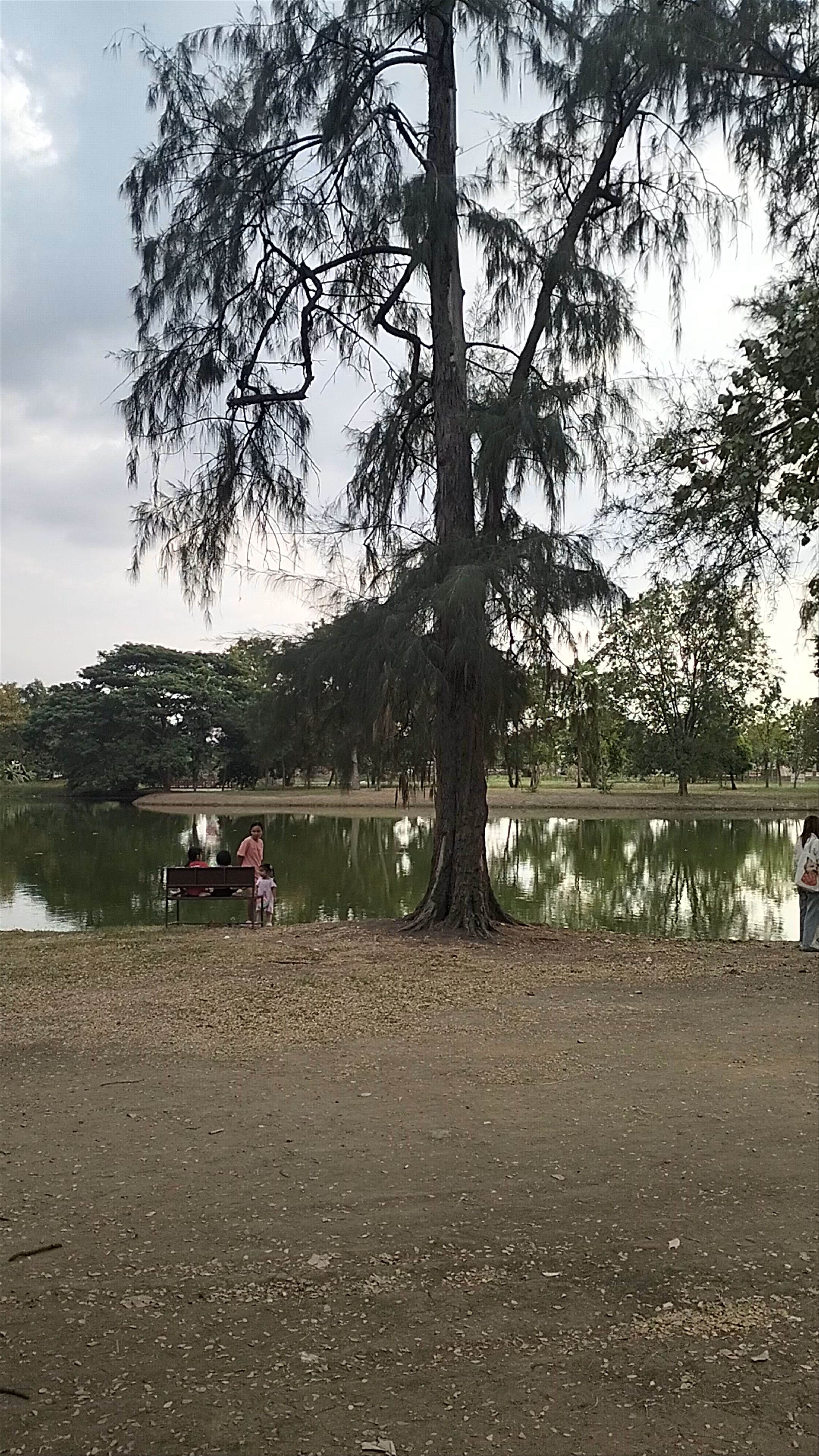 Tranquil Moments at Bueng Phra Ram Park, Ayutthaya