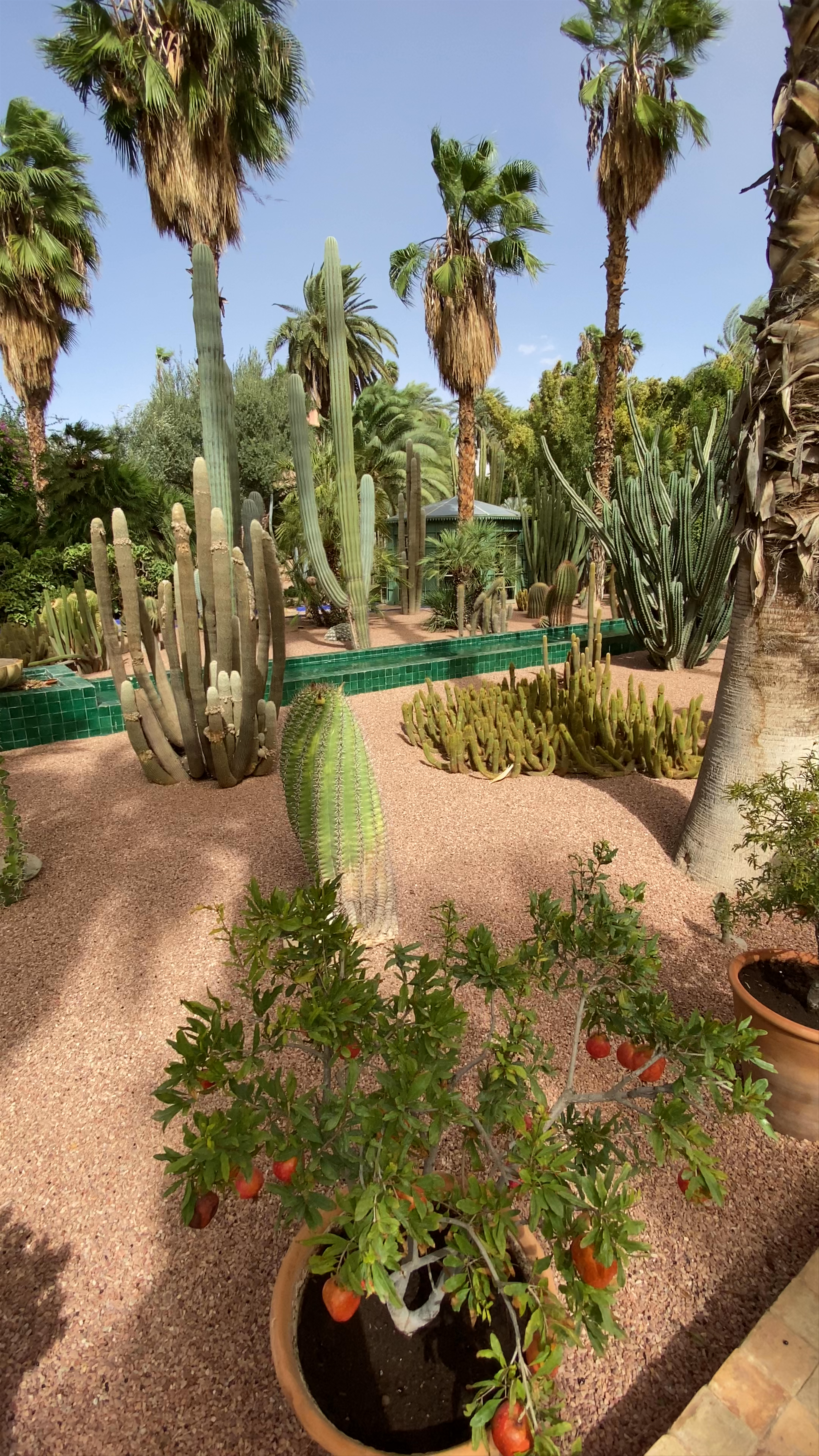 Jardin Majorelle
