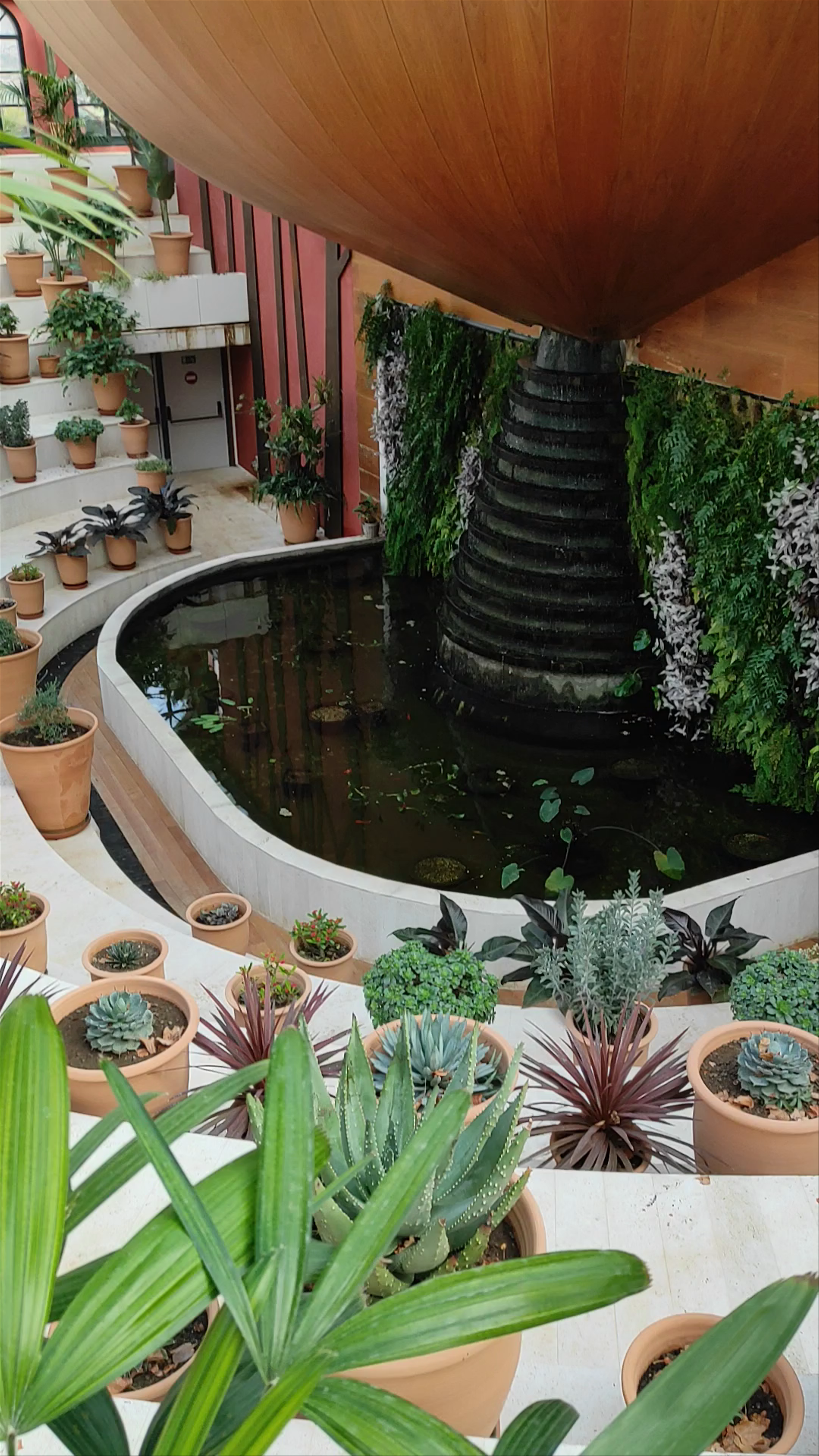 Jardí de l'Albarda