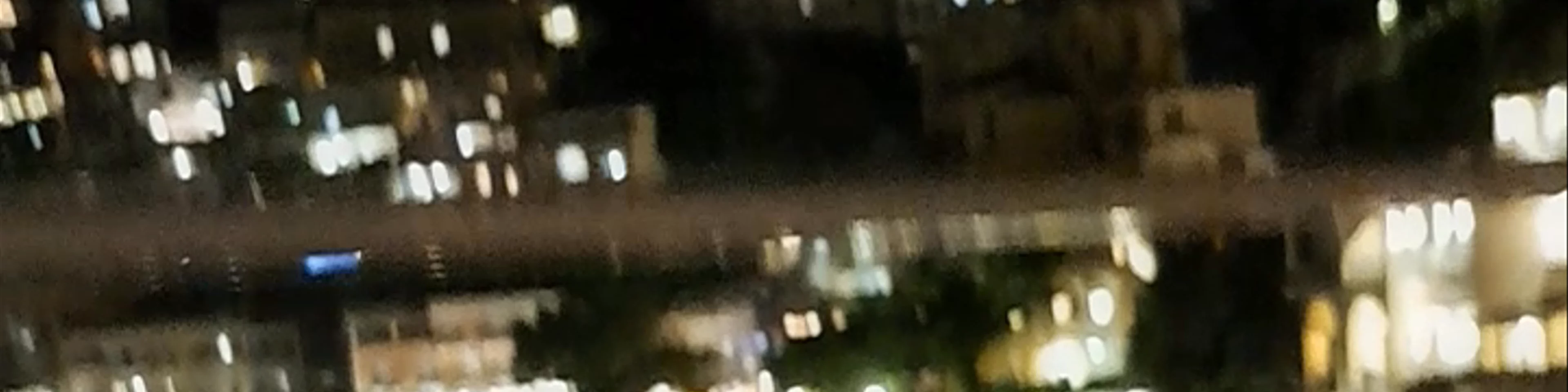 Fly