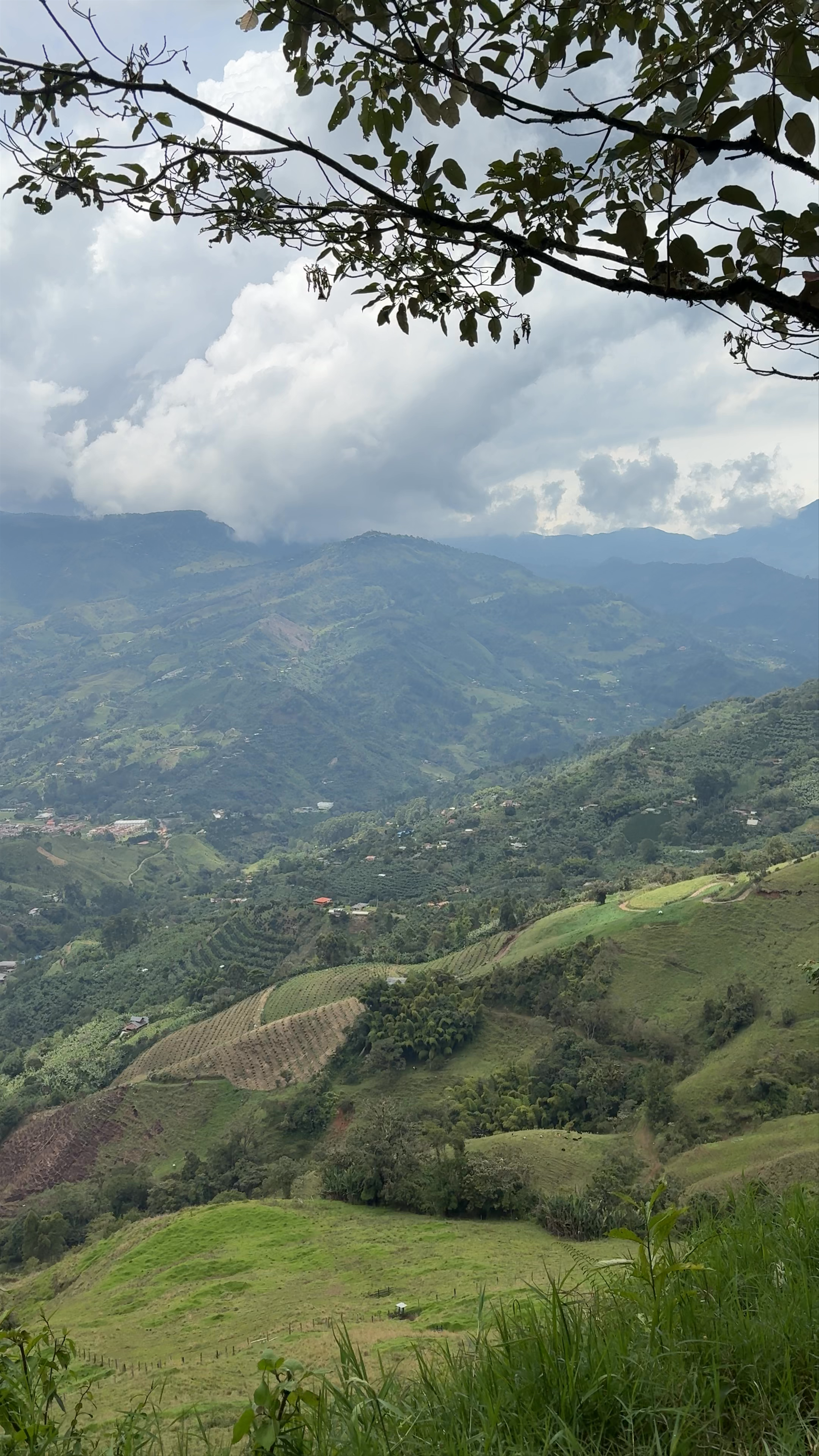 Paso Jardín-Támesis