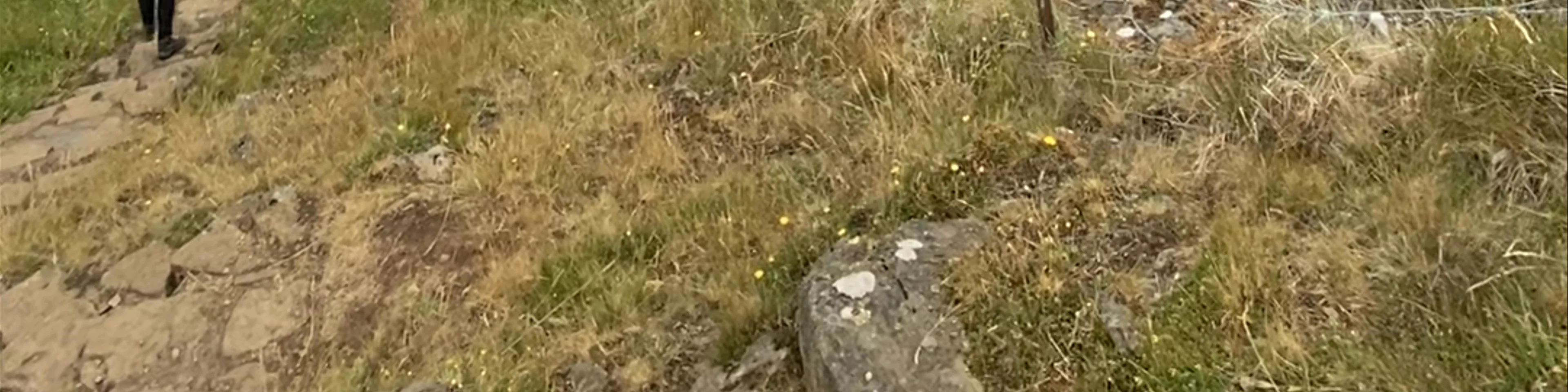Hadrian's Wall Path, Haltwhistle