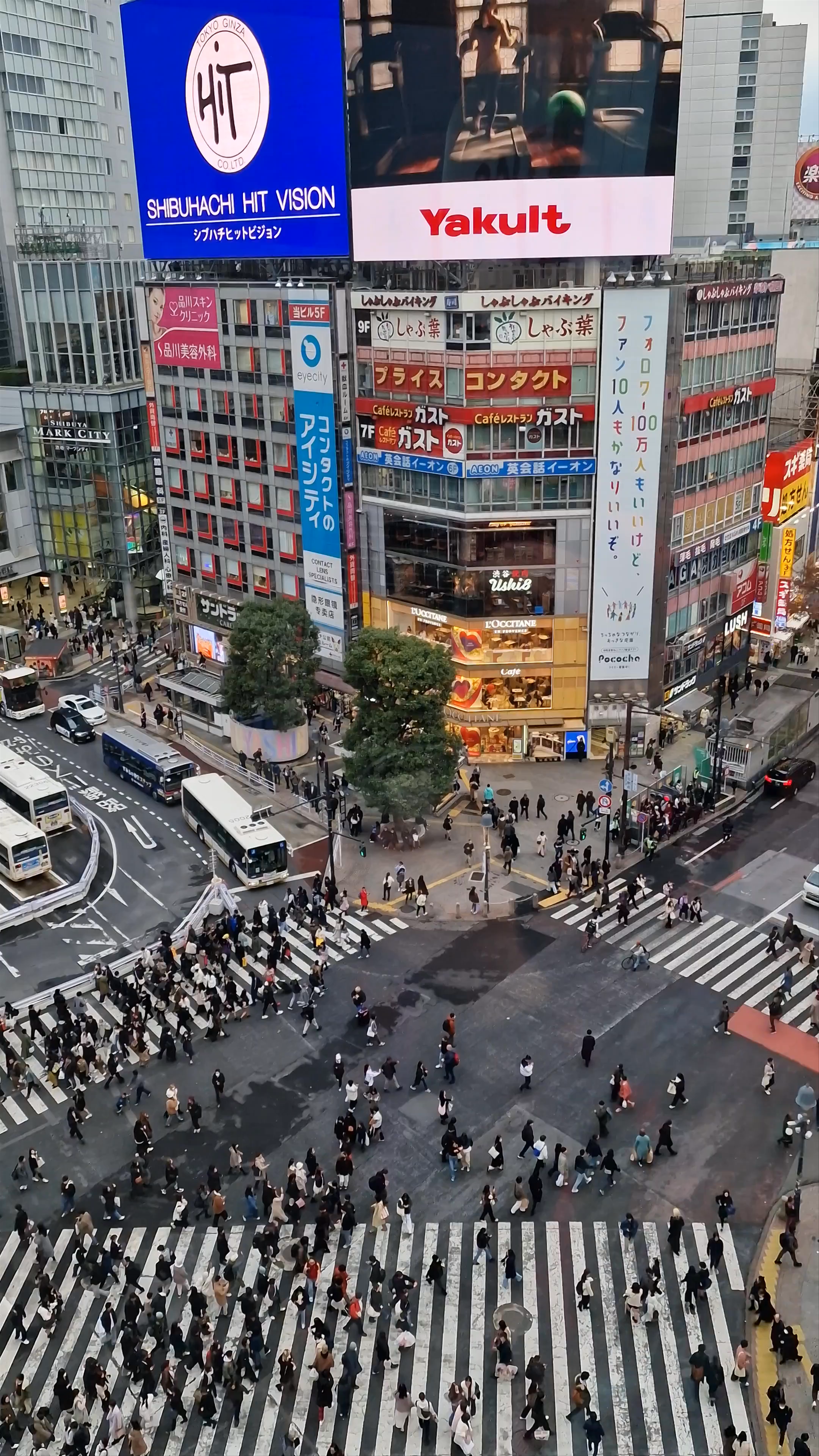 Shibuya Scramble Crossing: Tokyo’s Iconic Urban Pulse