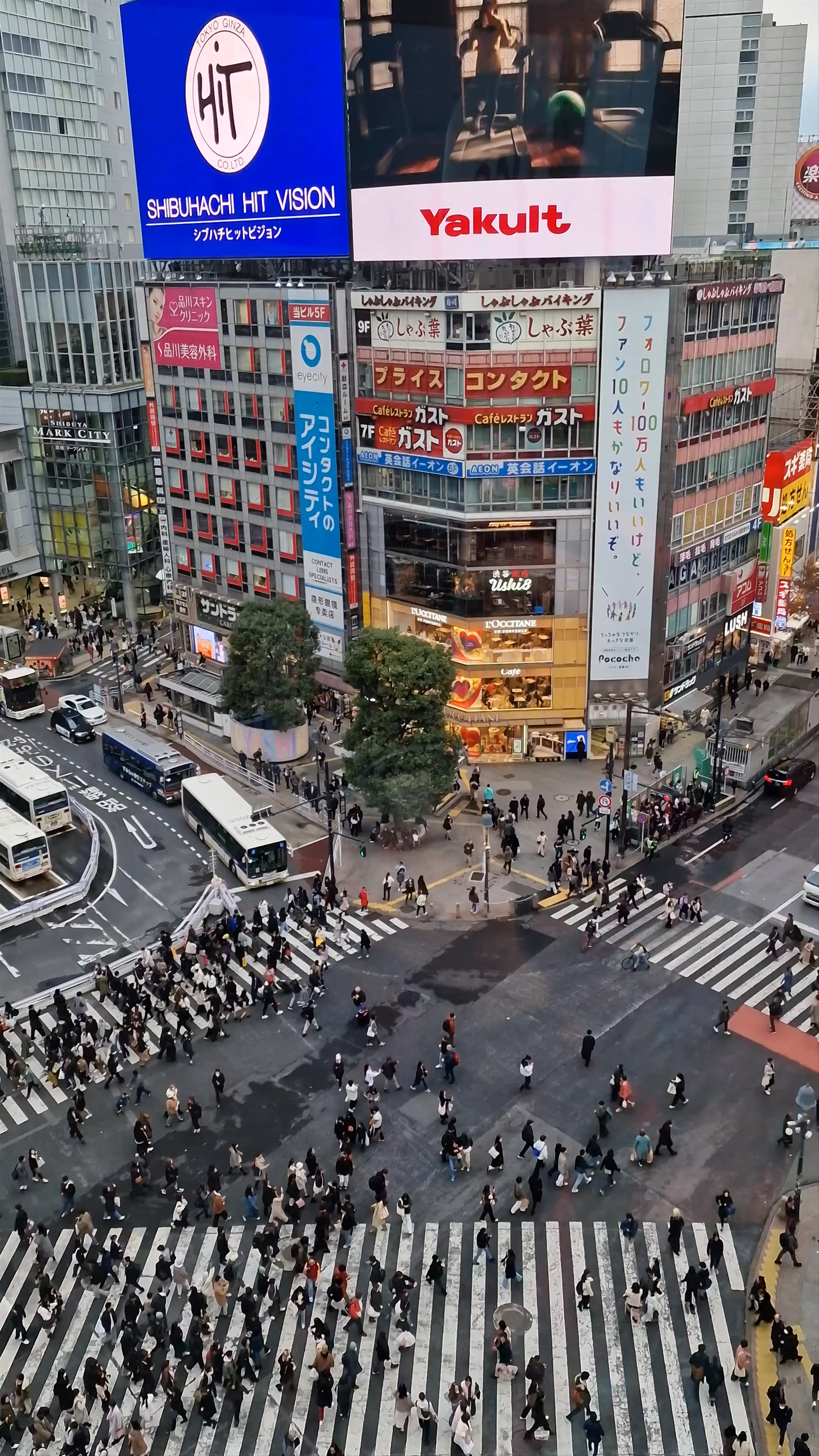 Shibuya Scramble Crossing, 21 Udagawa-cho, Shibuya City, Tokyo, Japan