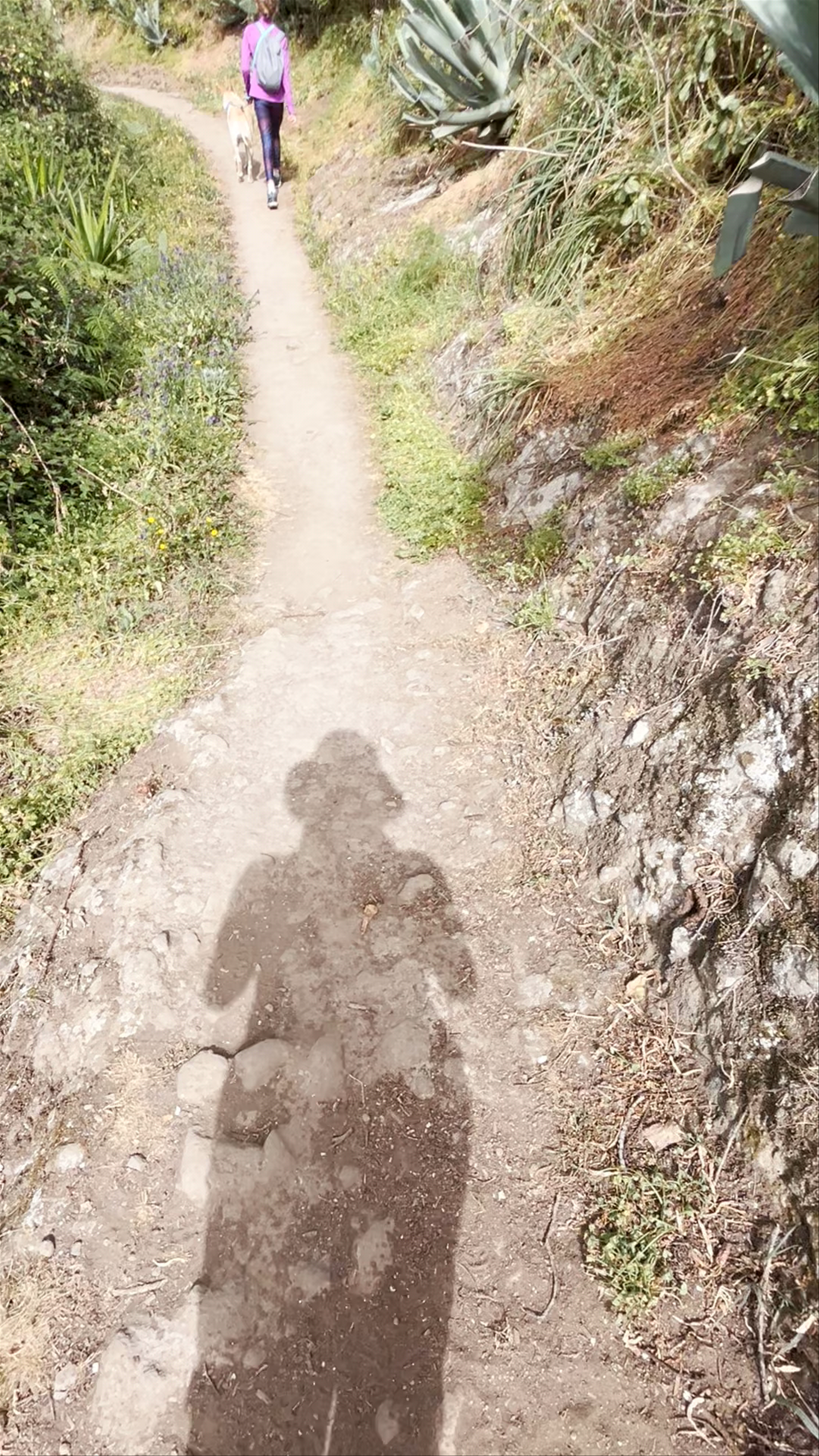 Fuente Agria de Teror