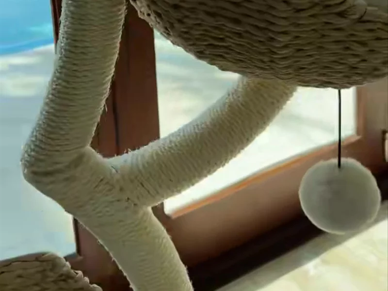 Setup cat tower