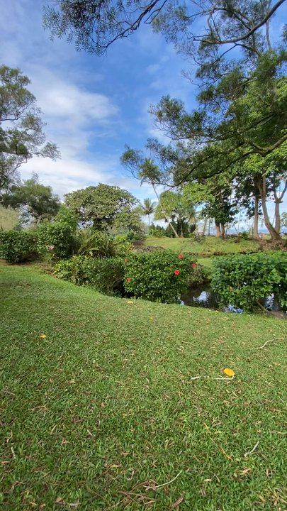 The Big Island Hostel - Hilo is so peaceful - Hostels Near Me - Hilo, Hawaii