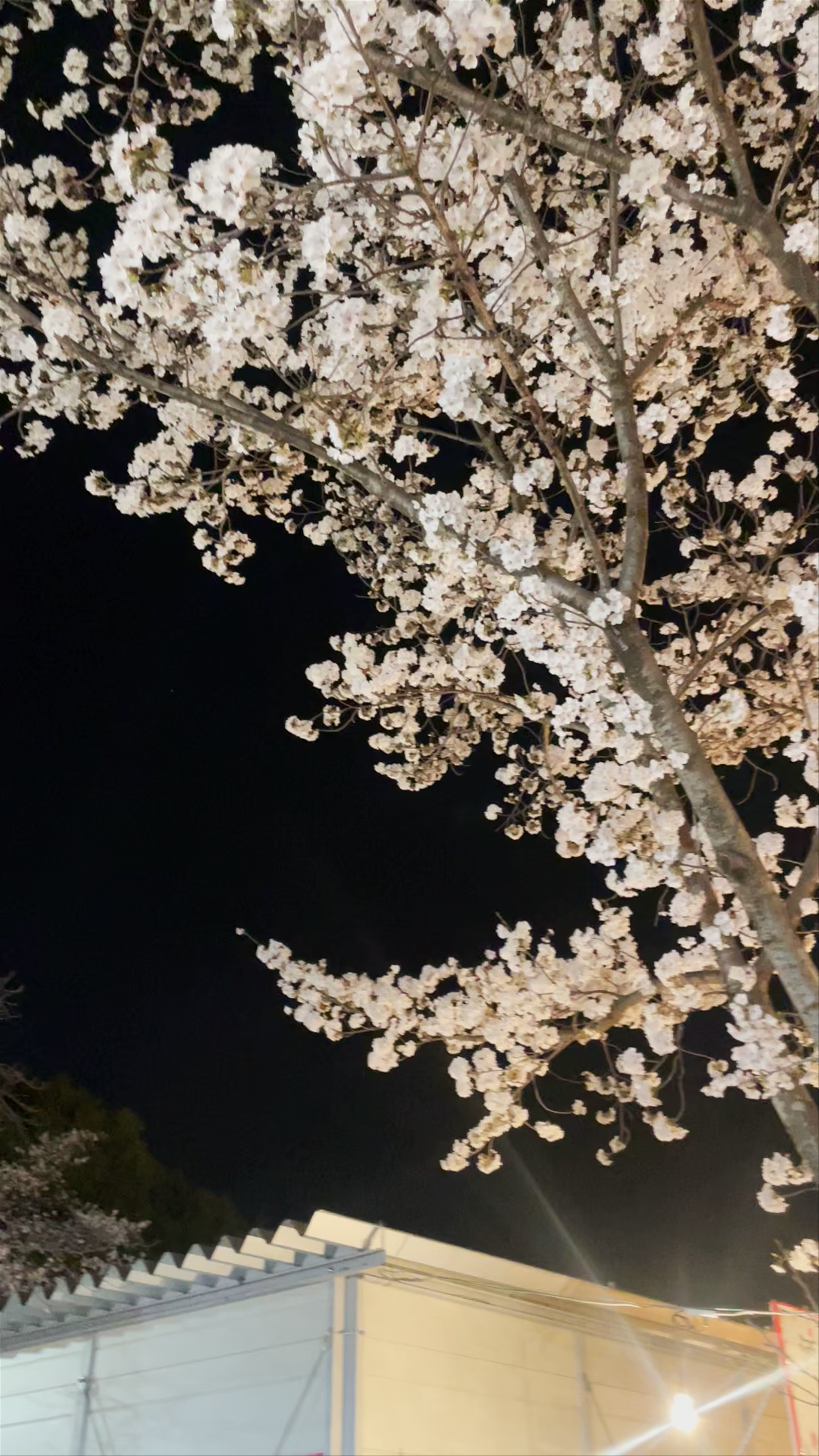 Maruyama Park