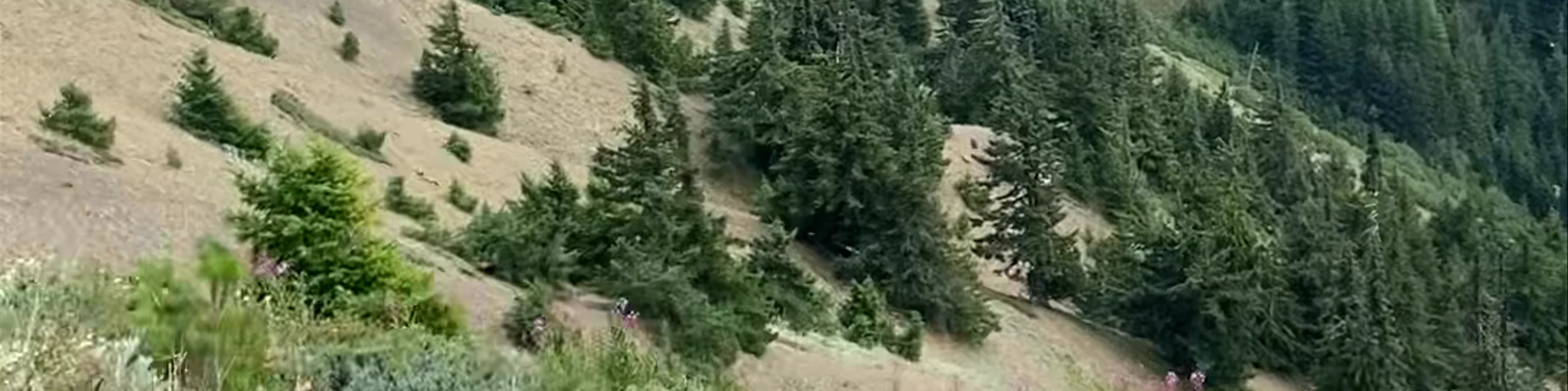 Hurricane Hill Nature Trail, Port Angeles