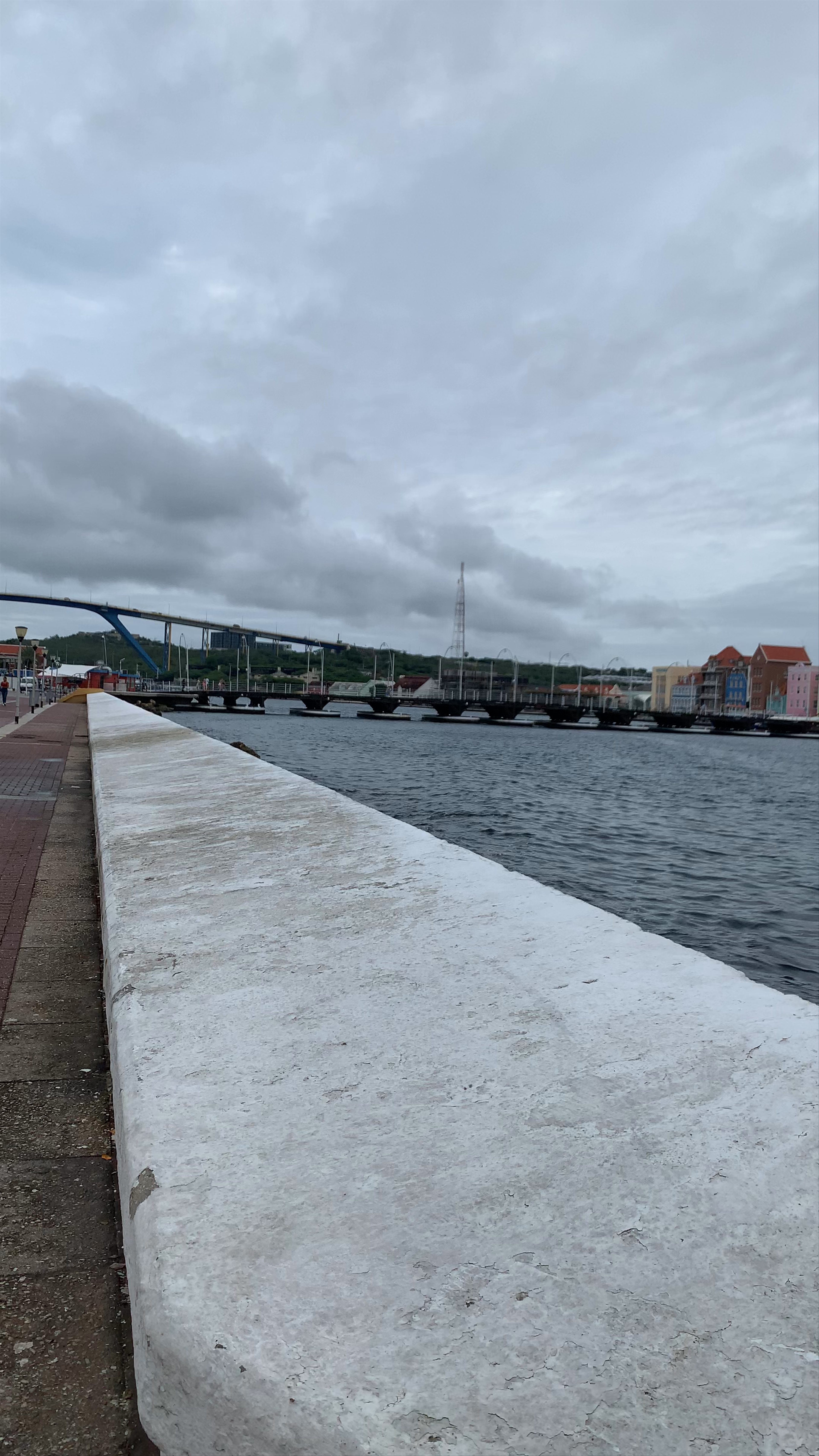 The Swinging Old Lady