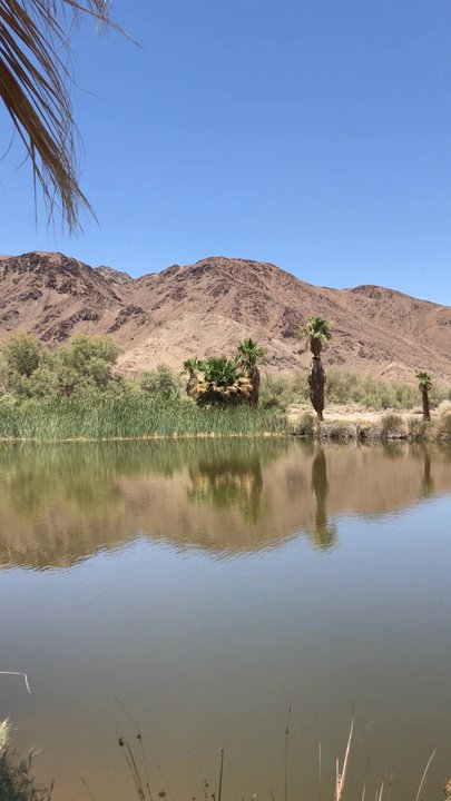 CSU Desert Studies Center - Colleges & Universities Near Me - Baker, California