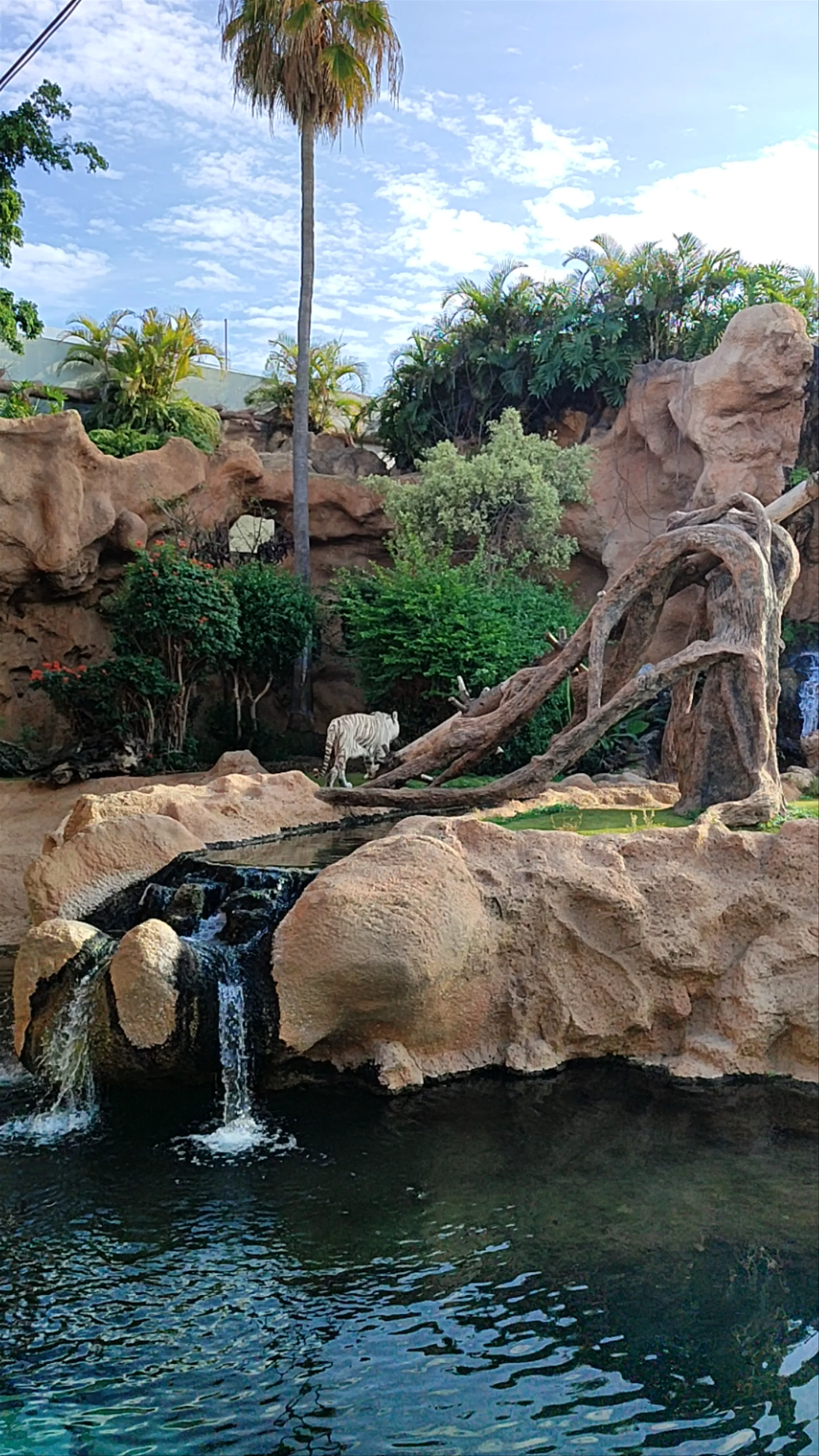 Loro Parque