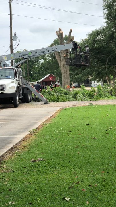 Green Leaf Tree Service - Crew at work. - Tree Services Near Me - Broussard, Louisiana