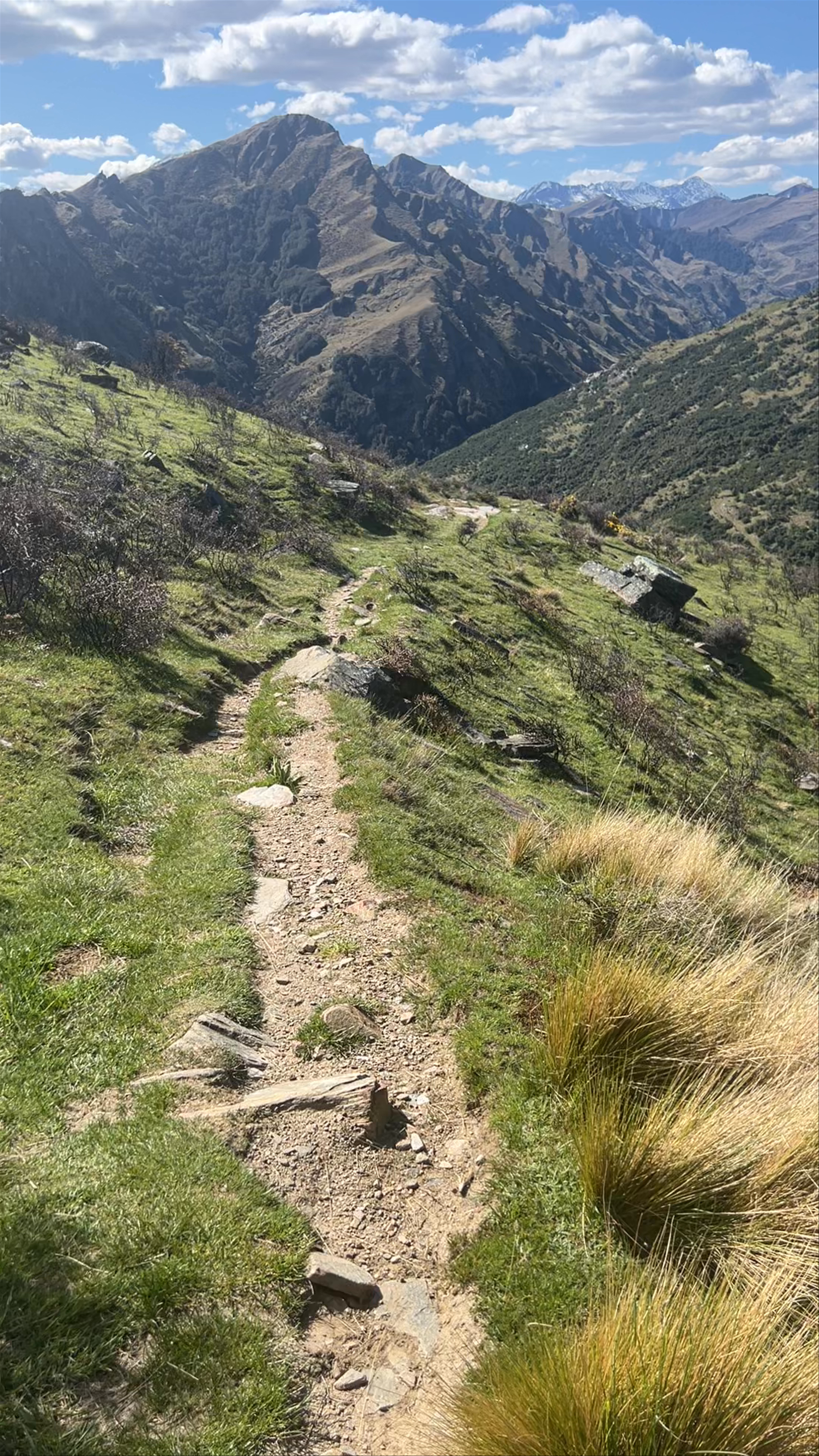 Moonlight track Ben Lomond Track