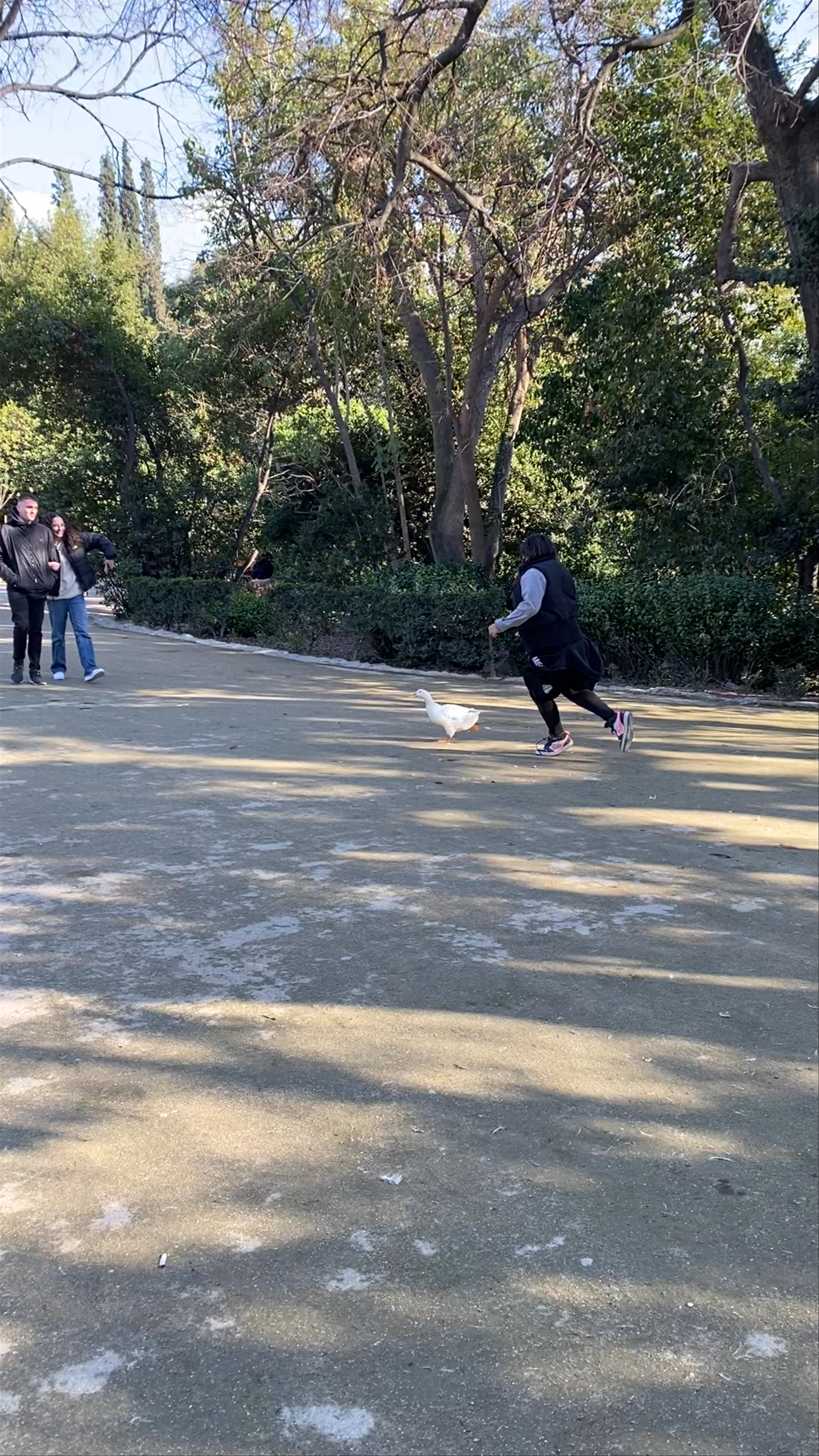 Κήποι Ζαππείου