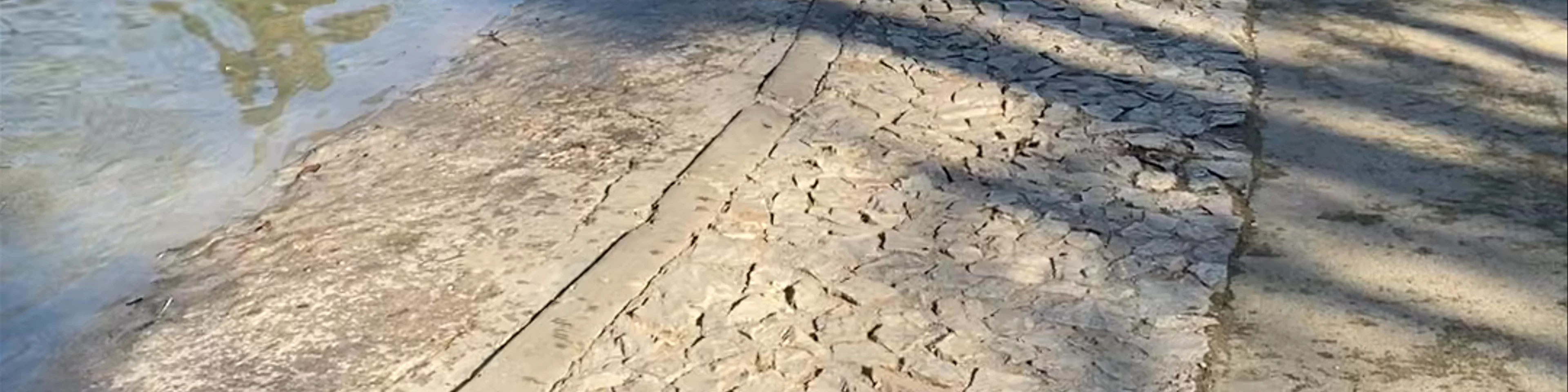 Κήποι Ζαππείου