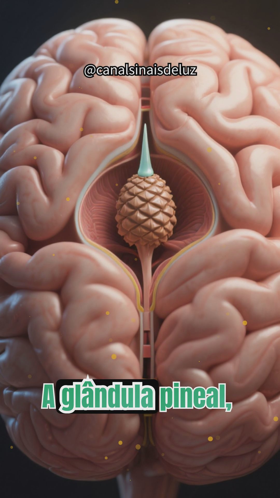 A Glândula Pineal: Portal Entre Ciência e Espiritualidade