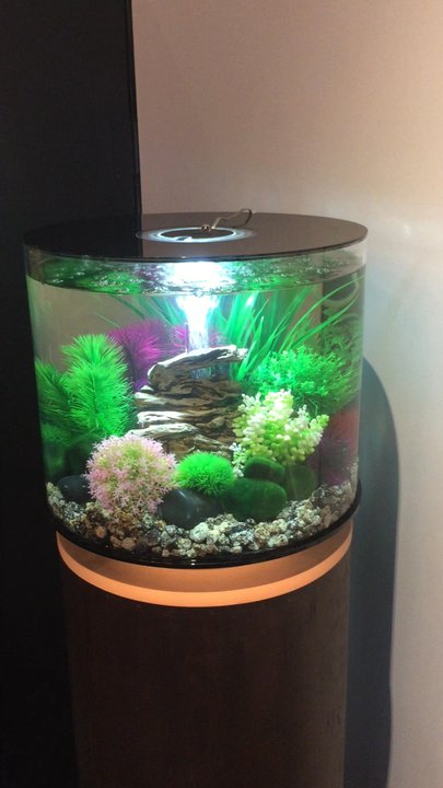 Aquatica - Local Fish Stores Near Me - Fort Lauderdale, Florida