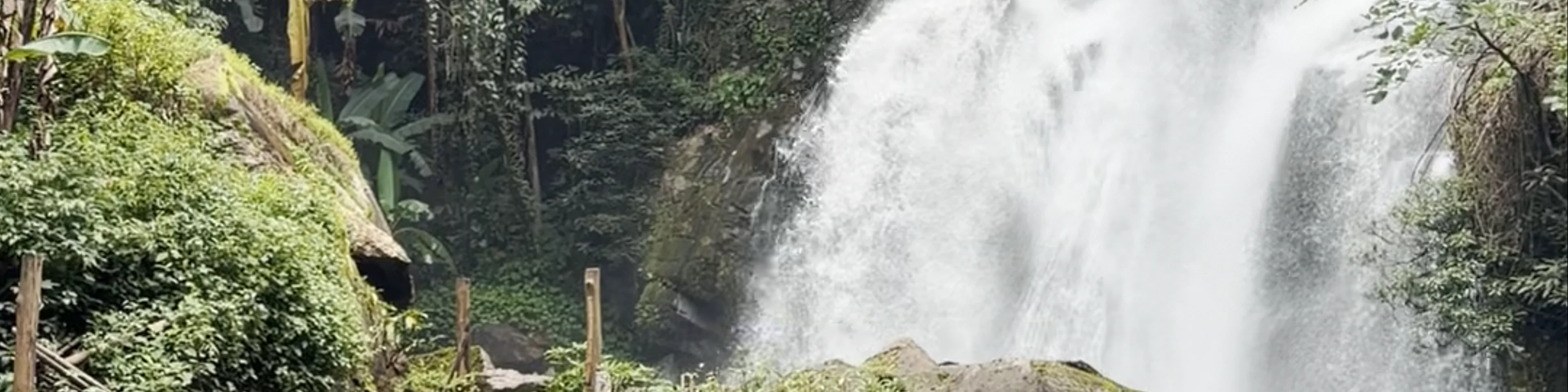Doi Inthanon