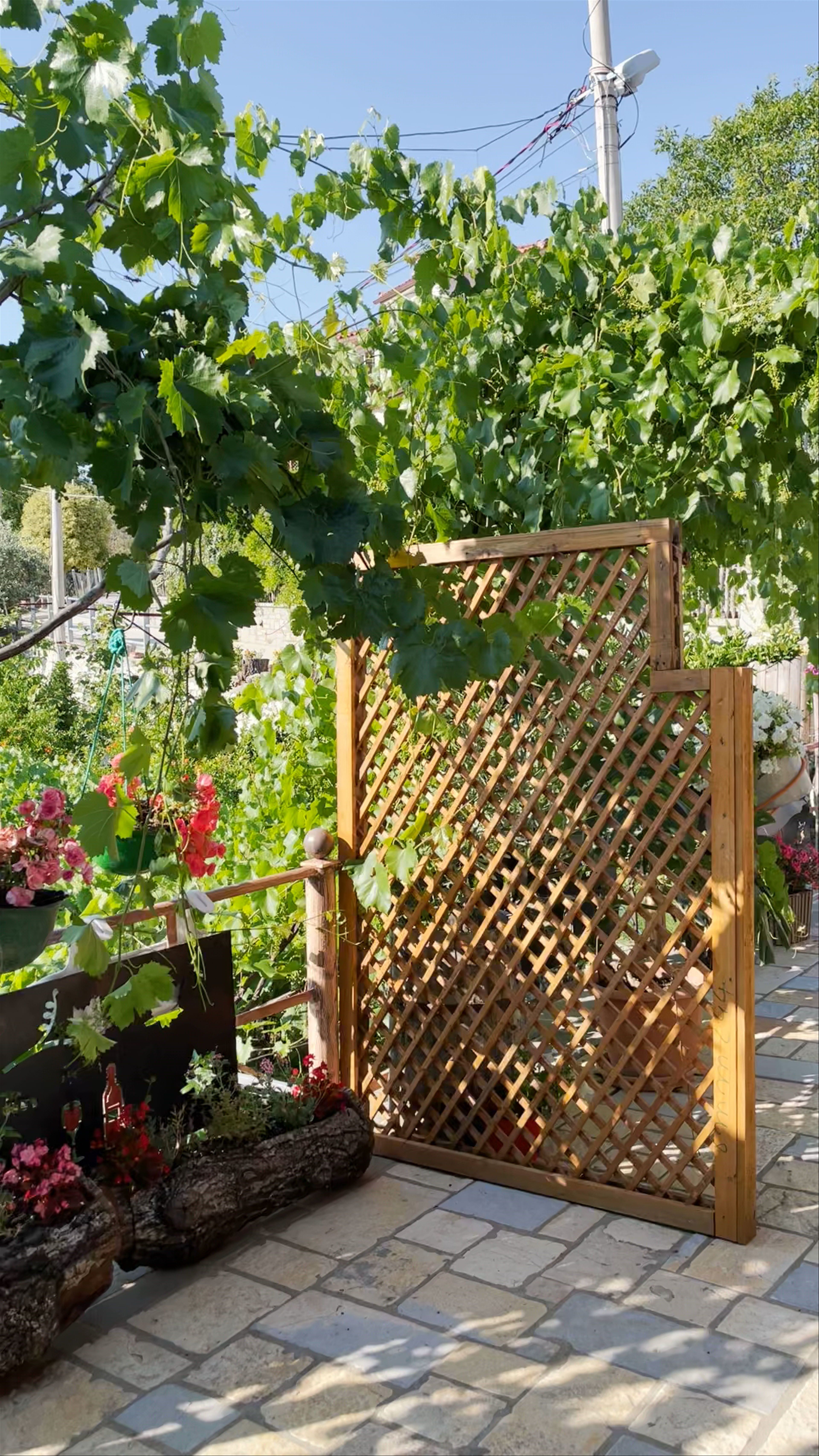 Alpeta Agrotourism & Winery (Alpeta Agroturizem)