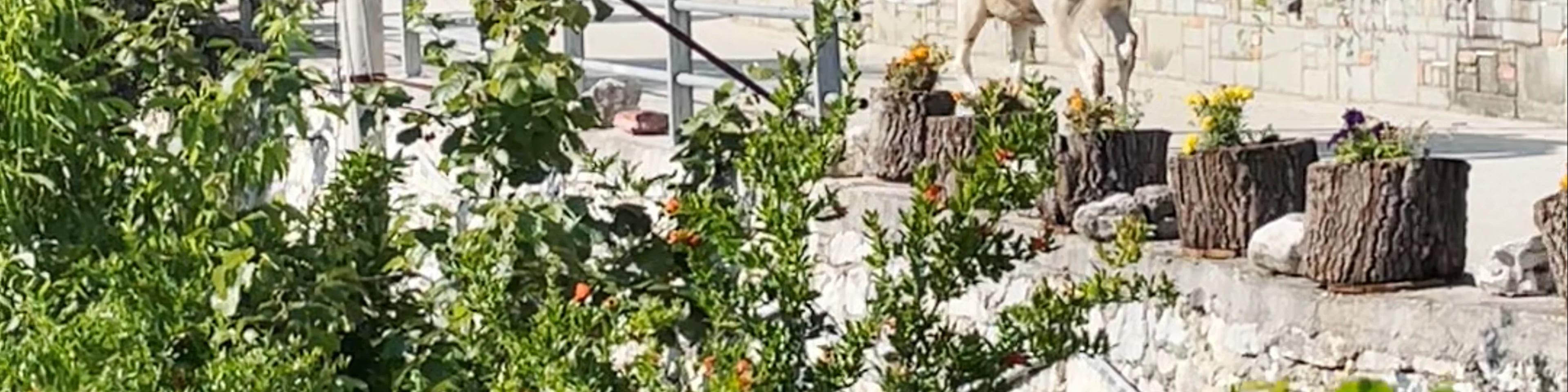 Alpeta Agrotourism & Winery (Alpeta Agroturizem)