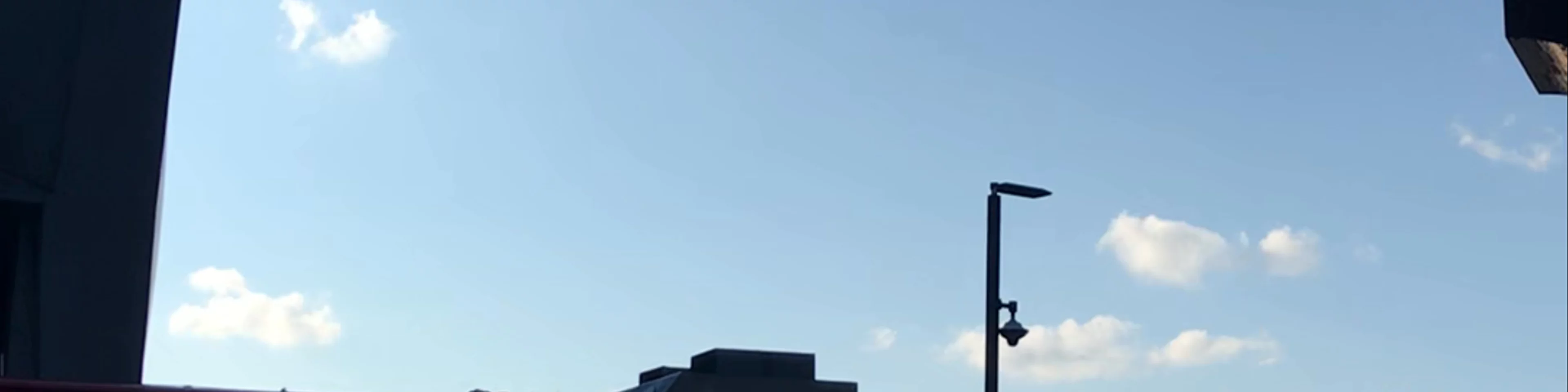 food trucks, the Shed performance venue, and the Vessel at Hudson Yards, NYC